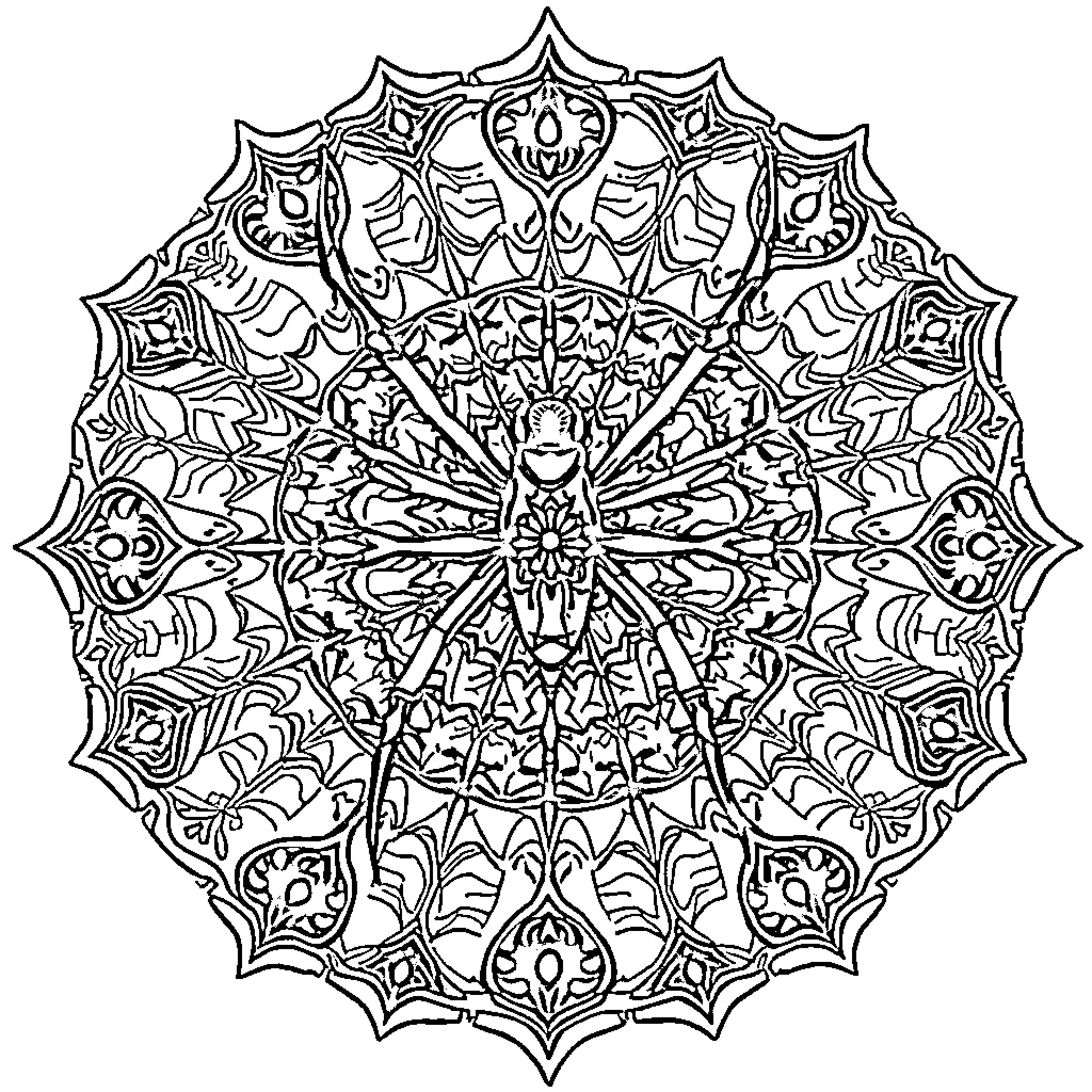 Spider's Intricate Mandala Design Coloring Page (free black-and-white line drawing printable PDF for all, from beginners to advanced learners, including children, teens, adults, and seniors)