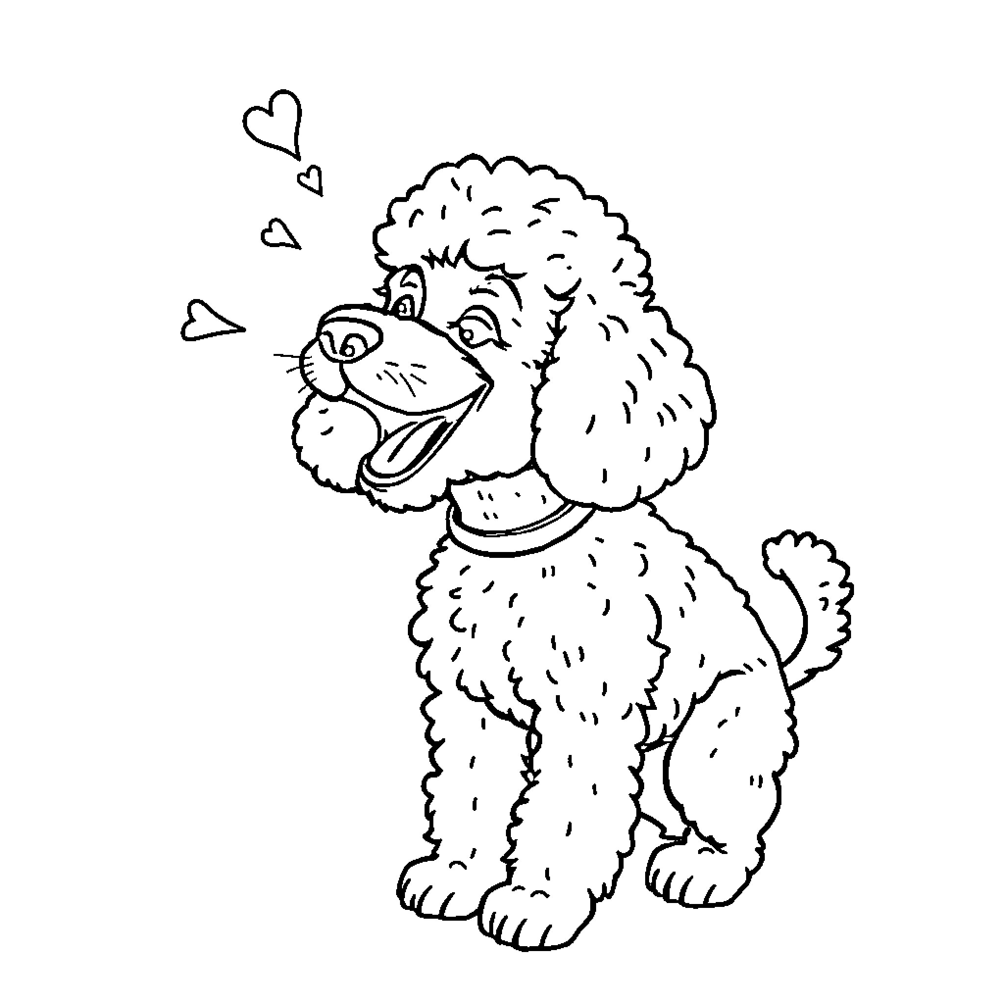 Poodle expressing joy with hearts Coloring Page (free black-and-white line drawing printable PDF for all, from beginners to advanced learners, including children, teens, adults, and seniors)