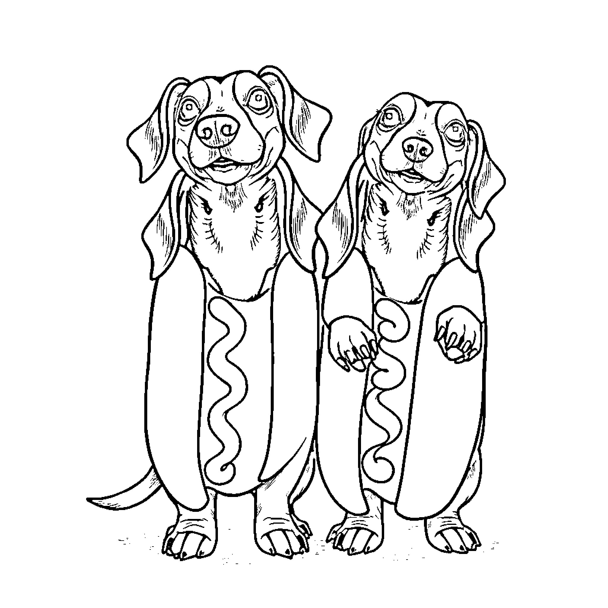 Dachshund duo in whimsical attire Coloring Page (free black-and-white line drawing printable PDF for all, from beginners to advanced learners, including children, teens, adults, and seniors)