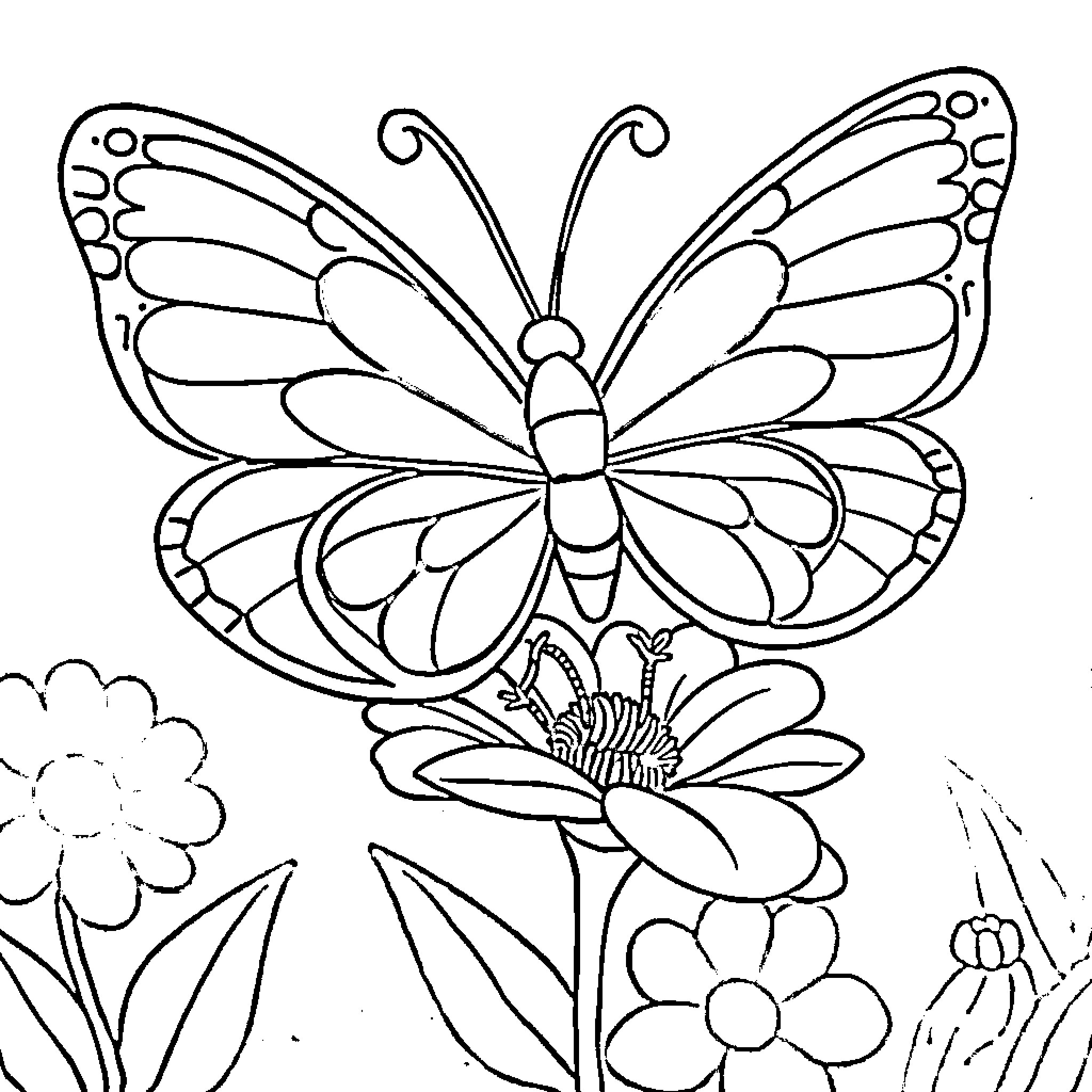 Butterfly resting on a flower Coloring Page (free black-and-white line drawing printable PDF for all, from beginners to advanced learners, including children, teens, adults, and seniors)