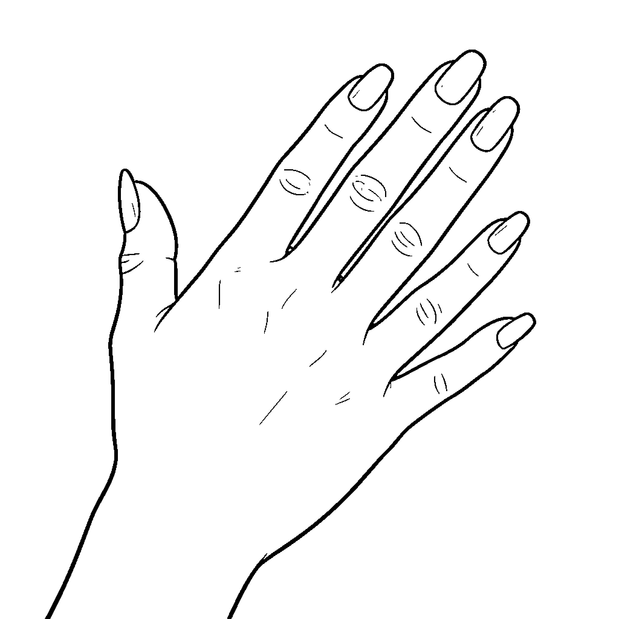 Mano showing an open palm with long nails Coloring Page (free black-and-white line drawing printable PDF for all, from beginners to advanced learners, including children, teens, adults, and seniors)