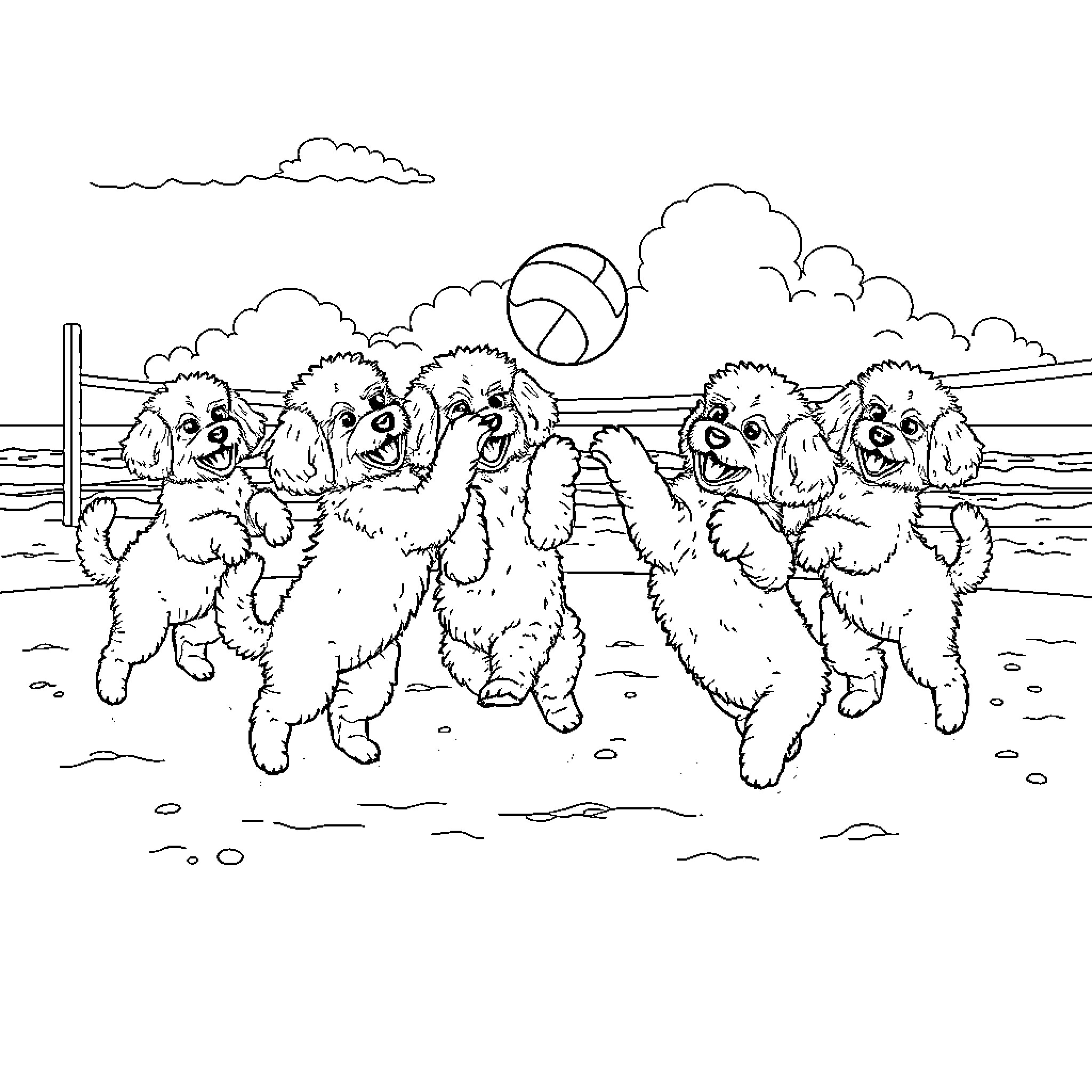 Poodle pups playing with ball on beach Coloring Page (free black-and-white line drawing printable PDF for all, from beginners to advanced learners, including children, teens, adults, and seniors)