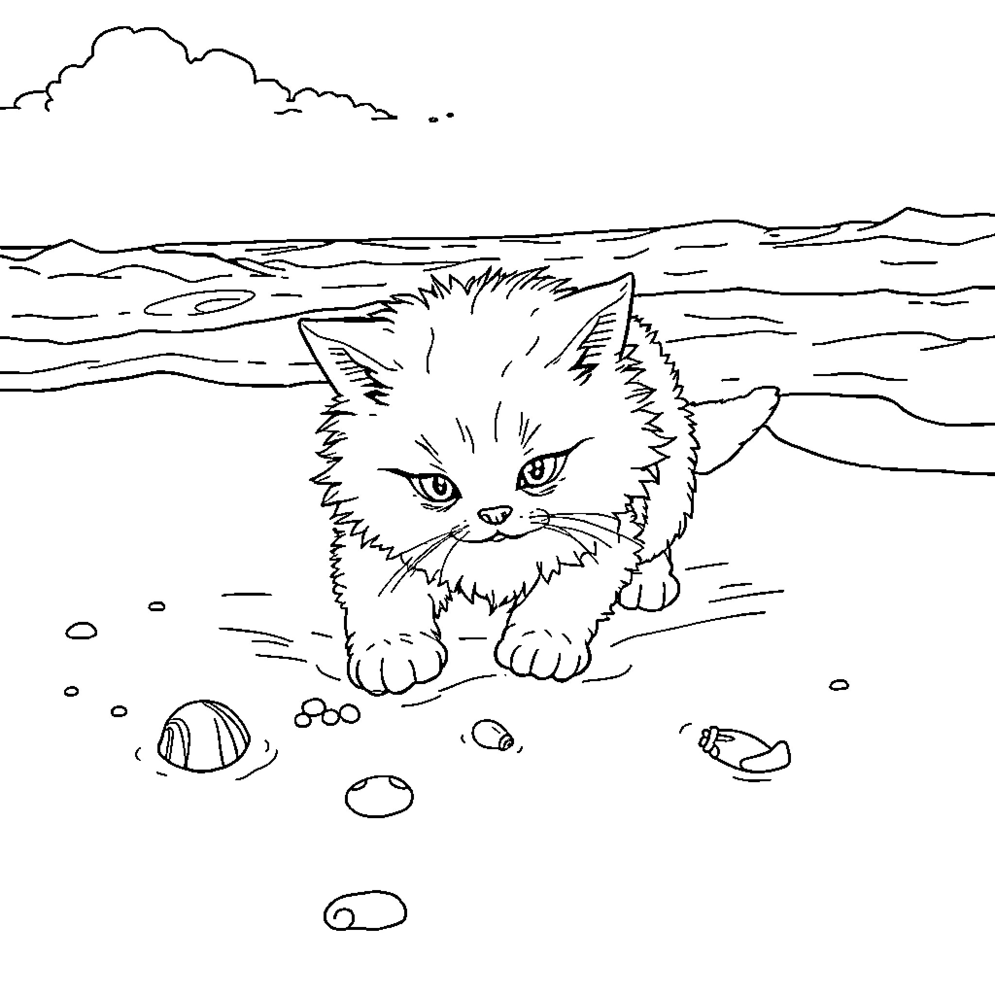 Cat exploring a beach scene Coloring Page (free black-and-white line drawing printable PDF for all, from beginners to advanced learners, including children, teens, adults, and seniors)