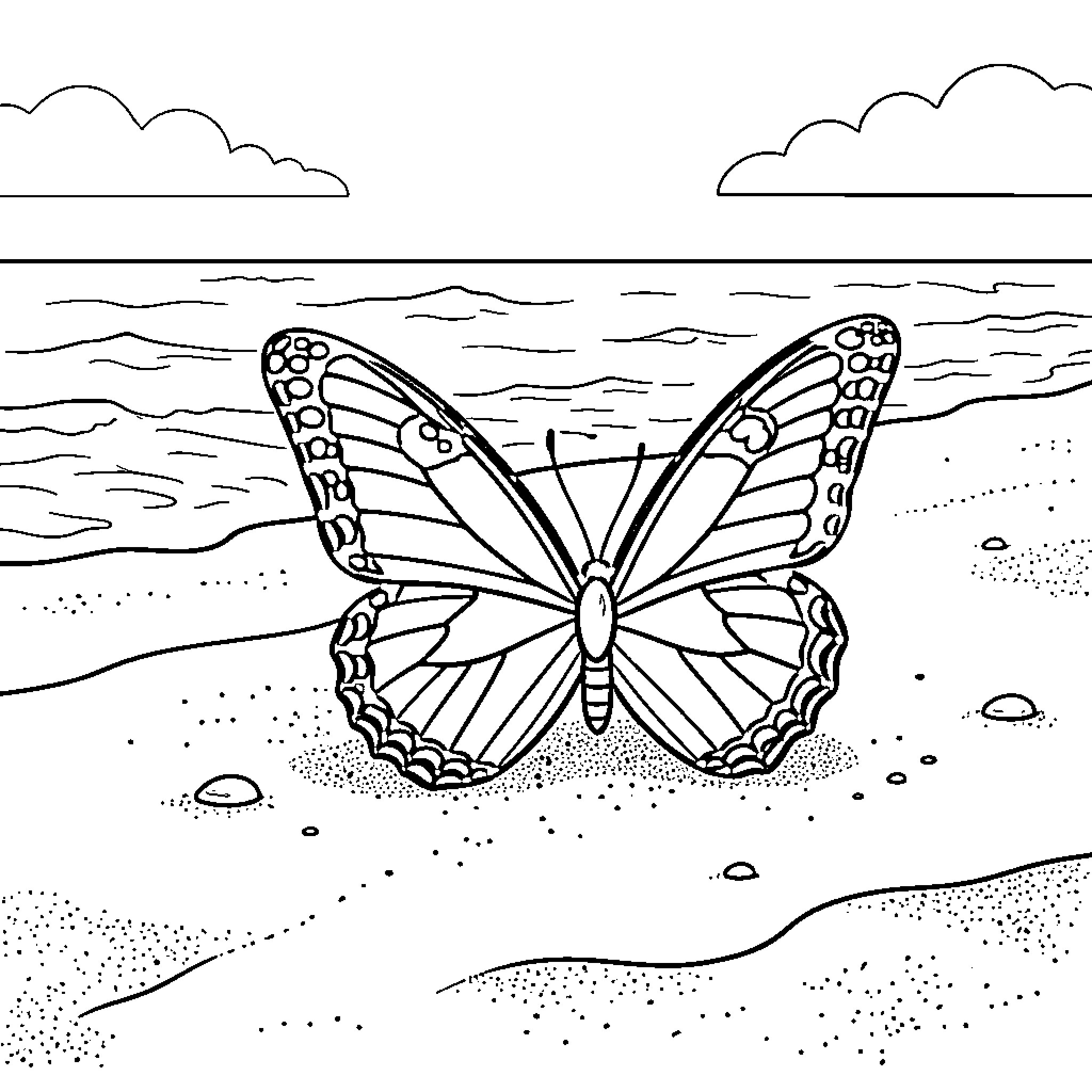 Butterfly resting peacefully on a sandy beach Coloring Page (free black-and-white line drawing printable PDF for all, from beginners to advanced learners, including children, teens, adults, and seniors)