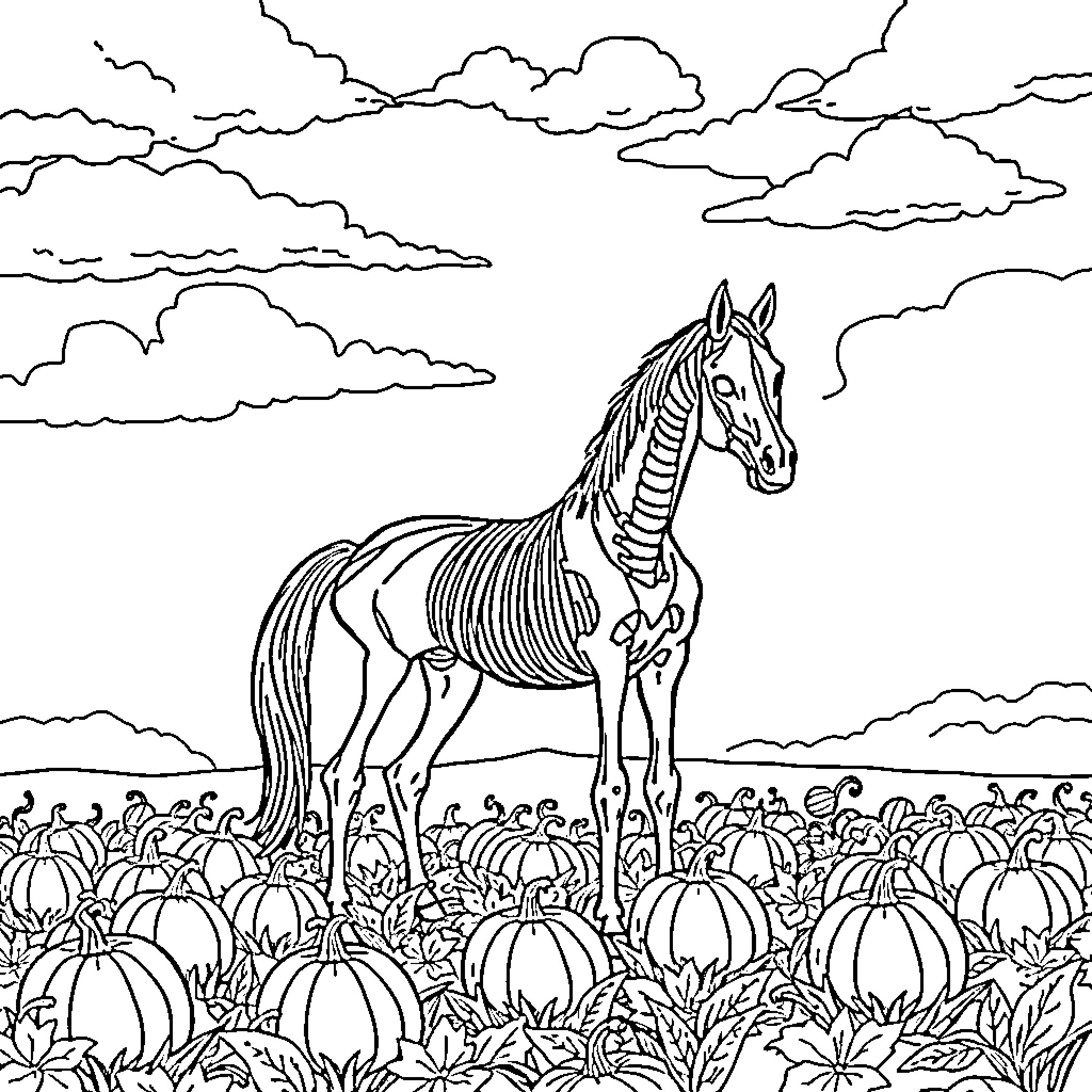 Skeleton Horse in a field of pumpkins Coloring Page (free black-and-white line drawing printable PDF for all, from beginners to advanced learners, including children, teens, adults, and seniors)