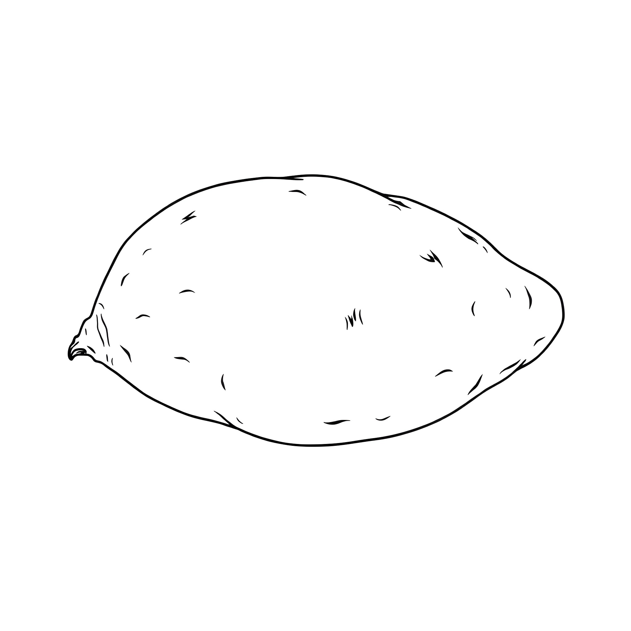 Sweet Potato Simple Outline Coloring Page (free black-and-white line drawing printable PDF for all, from beginners to advanced learners, including children, teens, adults, and seniors)