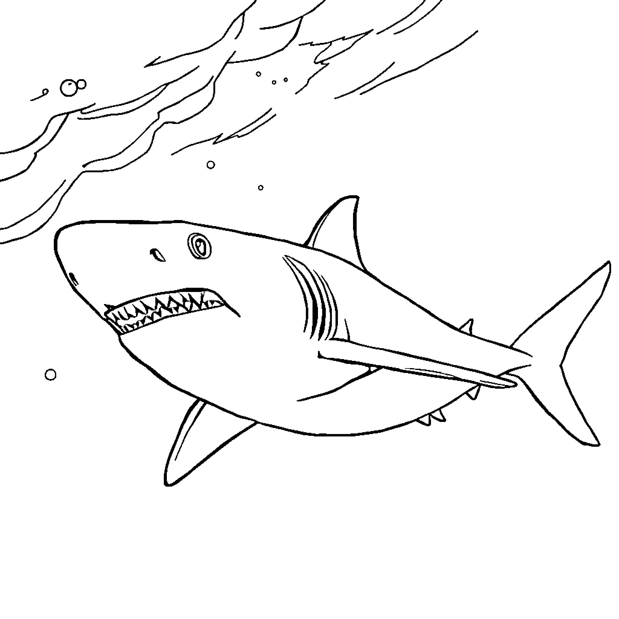 Shark hunting in the deep ocean Coloring Page (free black-and-white line drawing printable PDF for all, from beginners to advanced learners, including children, teens, adults, and seniors)