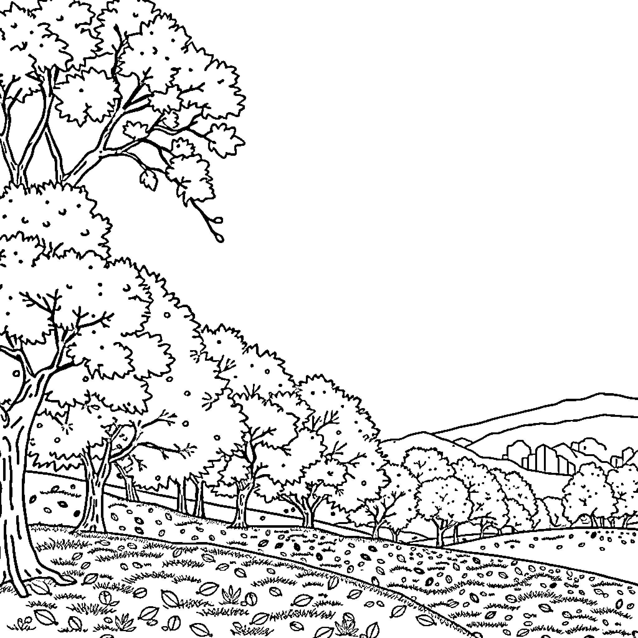 Autumn Landscape with Winding Path and Trees Coloring Page (free black-and-white line drawing printable PDF for all, from beginners to advanced learners, including children, teens, adults, and seniors)