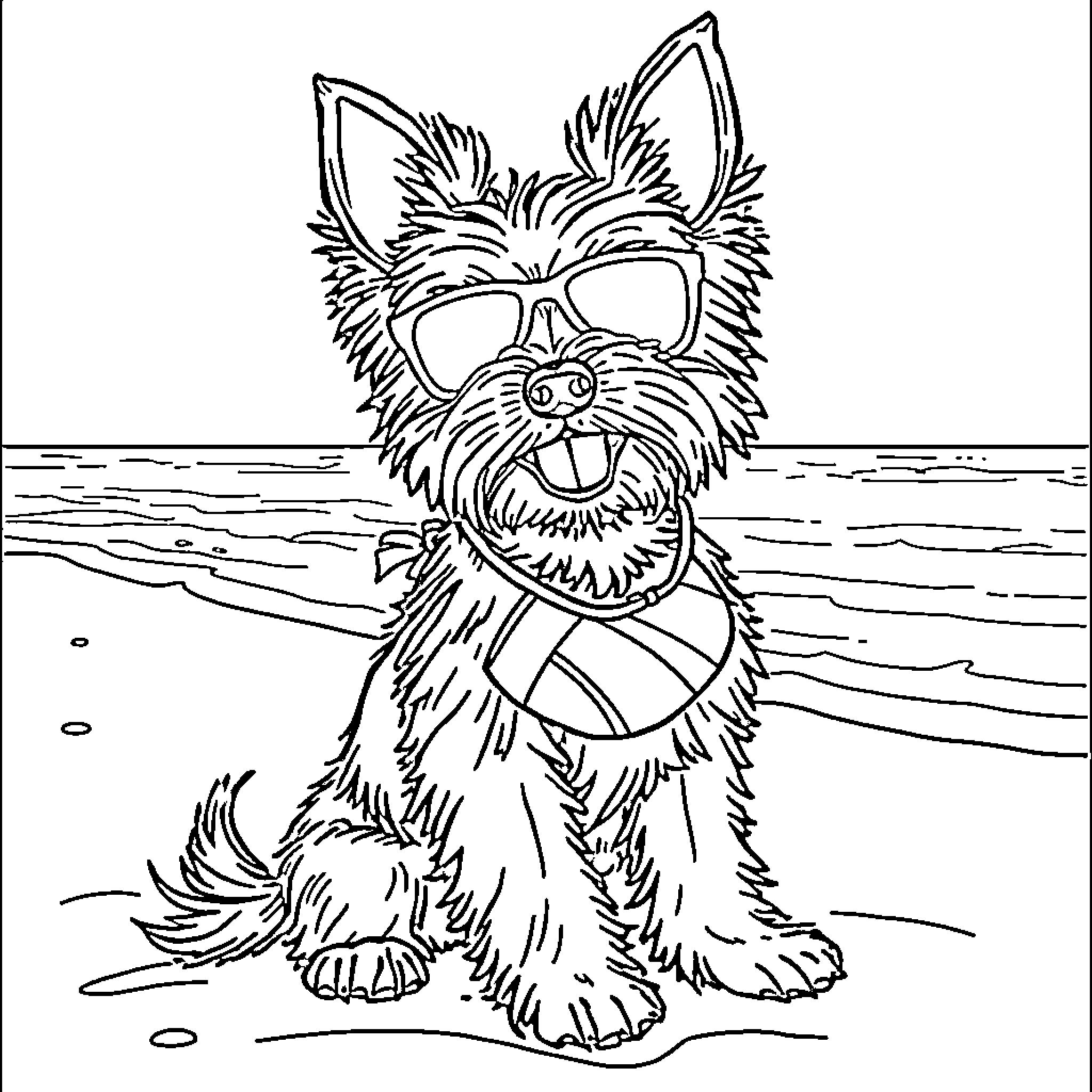 Yorkie relaxing on the beach with sunglasses Coloring Page (free black-and-white line drawing printable PDF for all, from beginners to advanced learners, including children, teens, adults, and seniors)