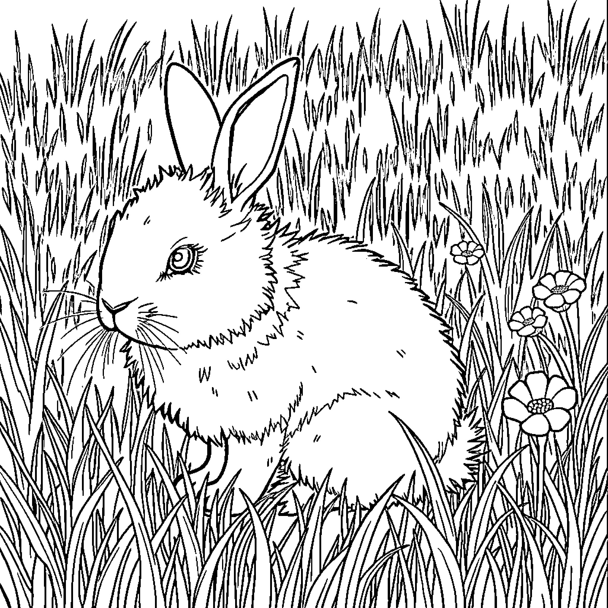 Bunny Hiding in the Grassy Field Coloring Page (free black-and-white line drawing printable PDF for all, from beginners to advanced learners, including children, teens, adults, and seniors)