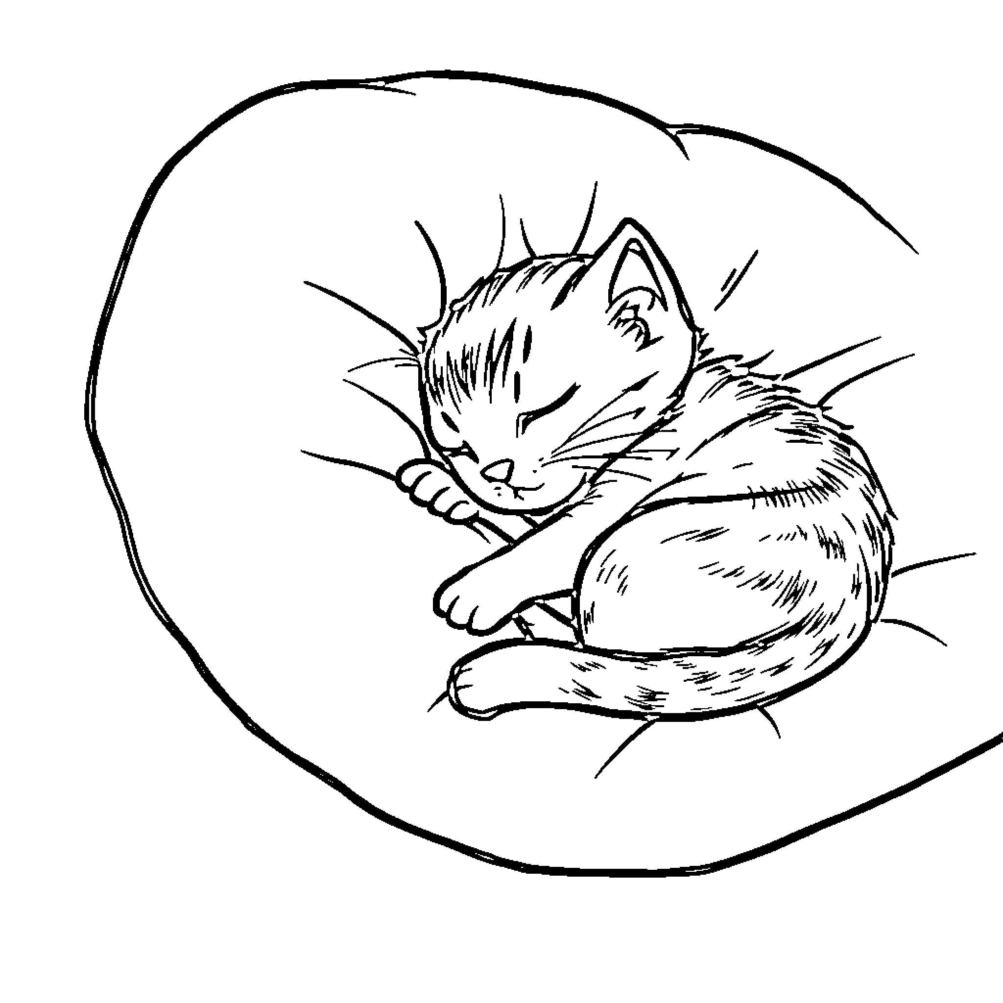 Kitten curled up and sleeping peacefully Coloring Page (free black-and-white line drawing printable PDF for all, from beginners to advanced learners, including children, teens, adults, and seniors)