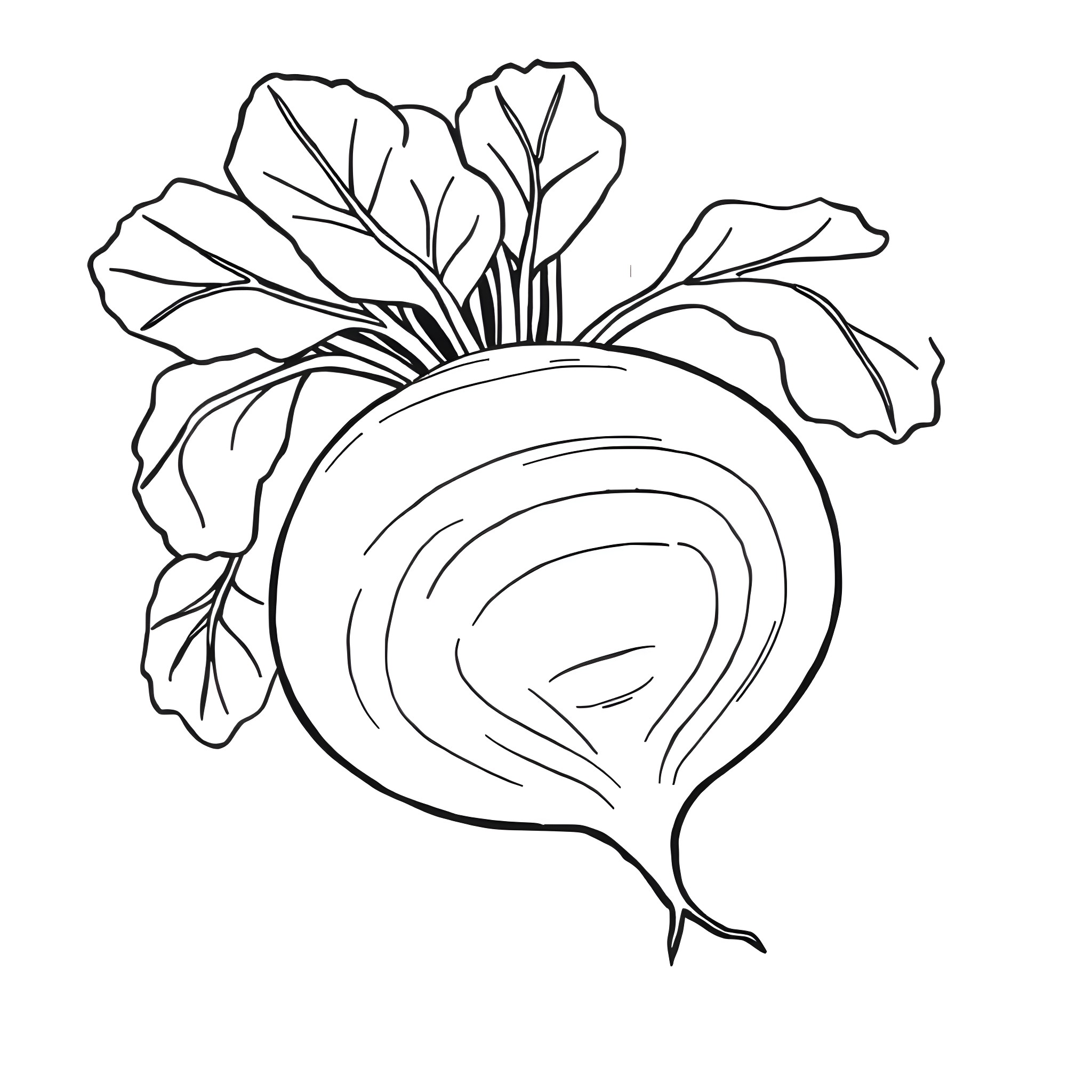 Beetroot with Vibrant Foliage Coloring Page (free black-and-white line drawing printable PDF for all, from beginners to advanced learners, including children, teens, adults, and seniors)