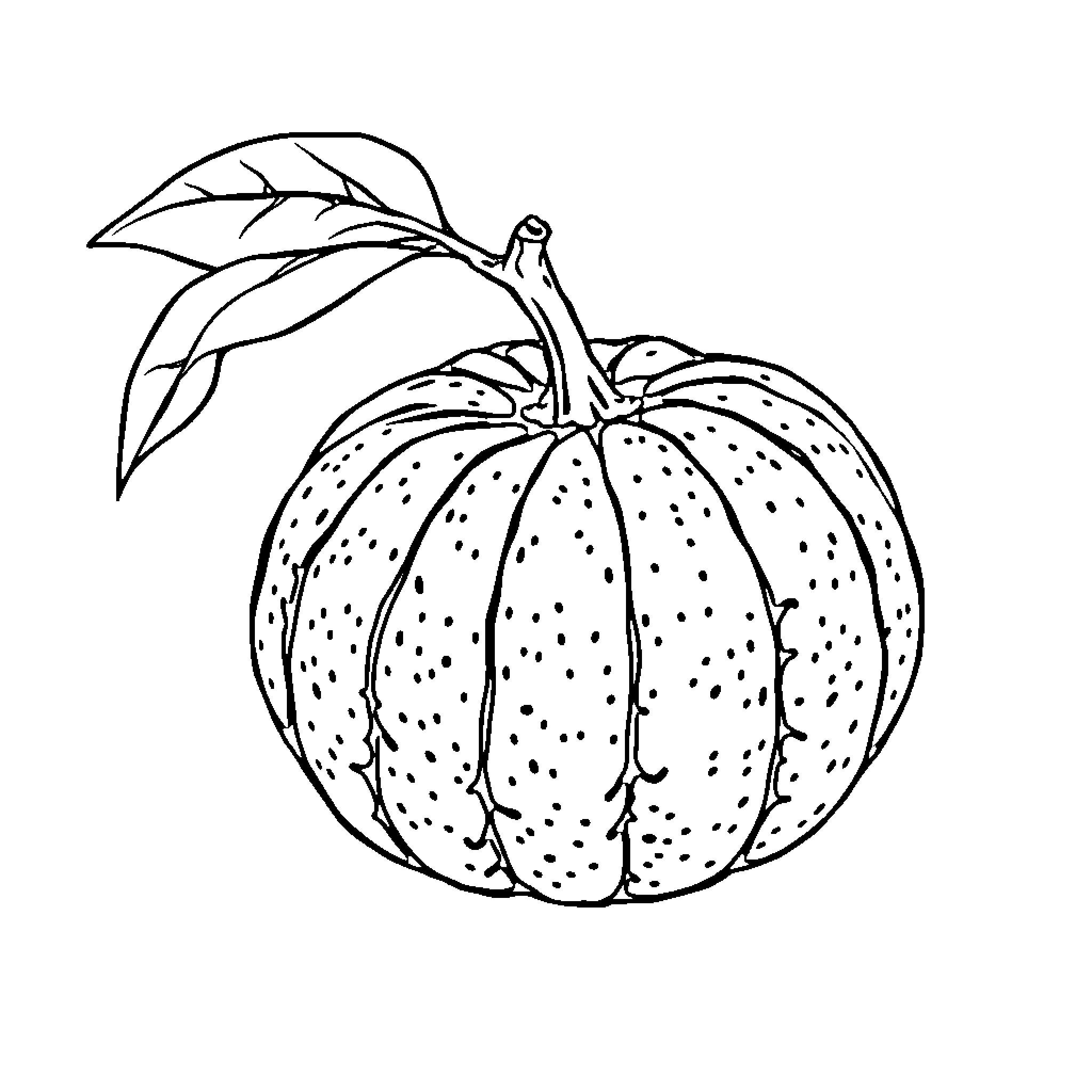 Orange Pumpkin with Leaves Coloring Page (free black-and-white line drawing printable PDF for all, from beginners to advanced learners, including children, teens, adults, and seniors)