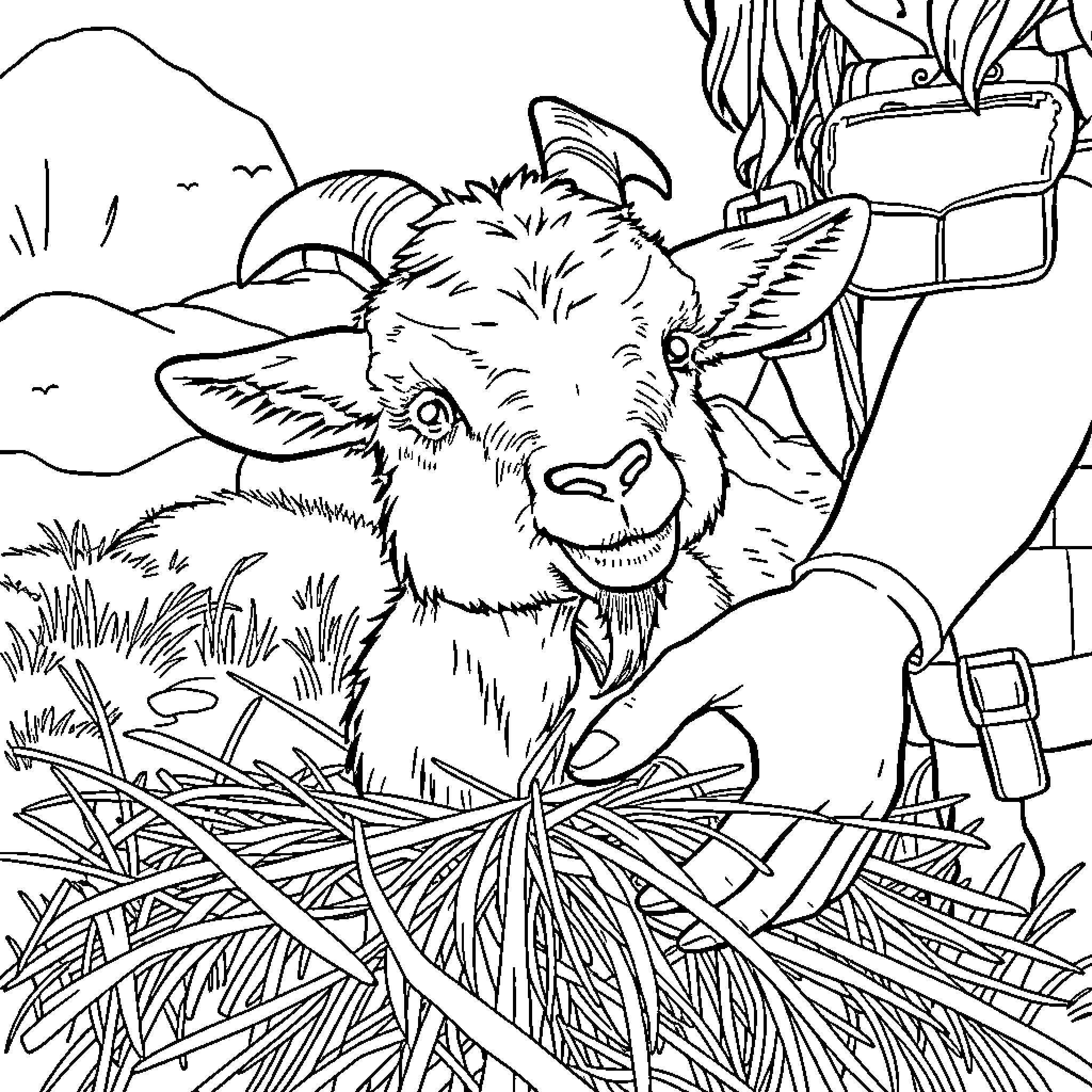 Pygmy Goat sitting in a grassy field Coloring Page (free black-and-white line drawing printable PDF for all, from beginners to advanced learners, including children, teens, adults, and seniors)