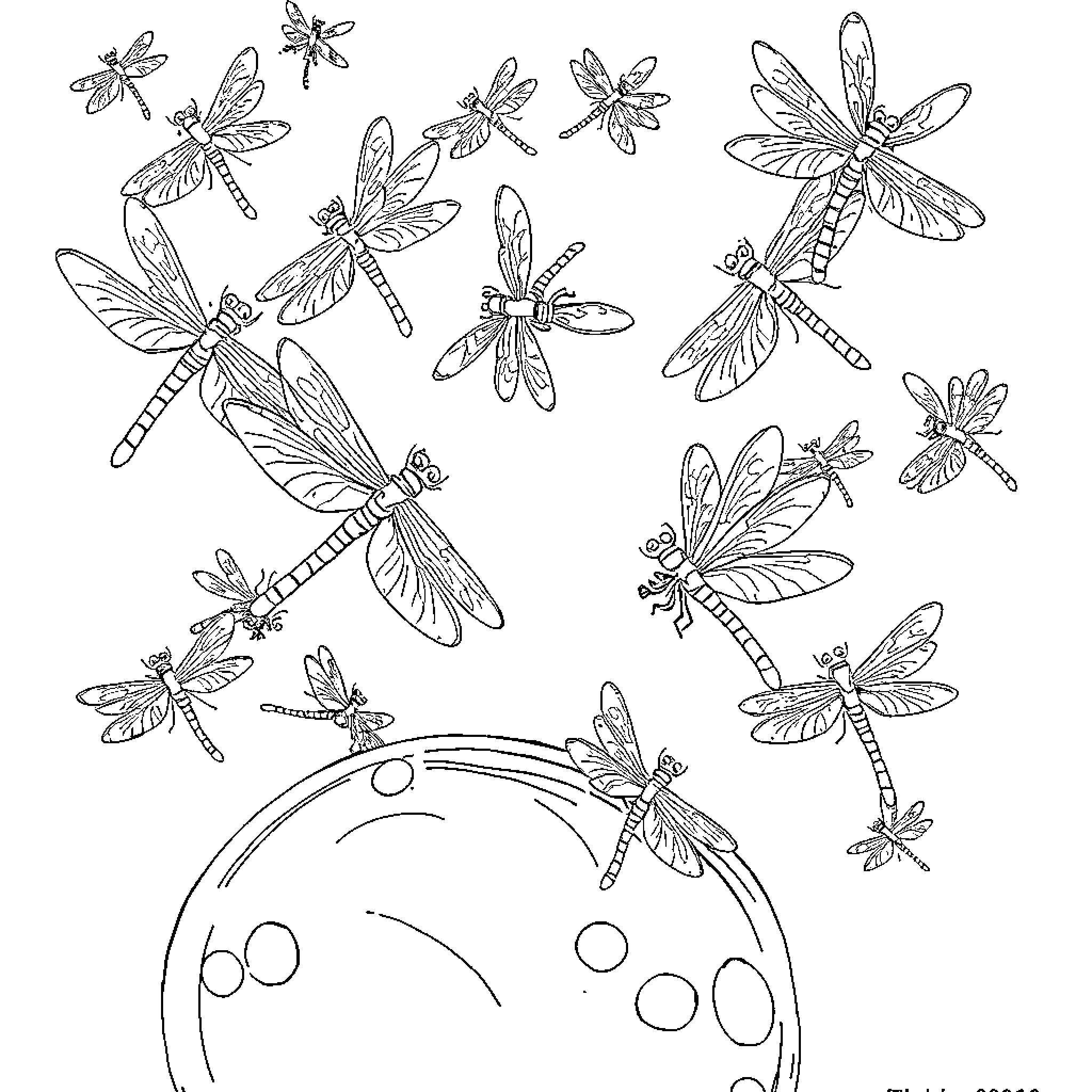 Dragonflies dancing in the moonlight Coloring Page (free black-and-white line drawing printable PDF for all, from beginners to advanced learners, including children, teens, adults, and seniors)