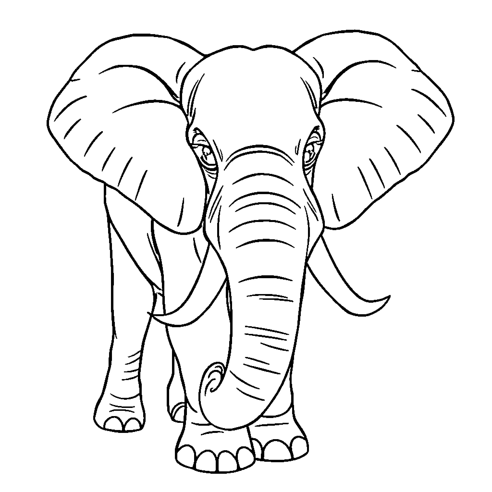 Elephant standing proudly Coloring Page (free black-and-white line drawing printable PDF for all, from beginners to advanced learners, including children, teens, adults, and seniors)