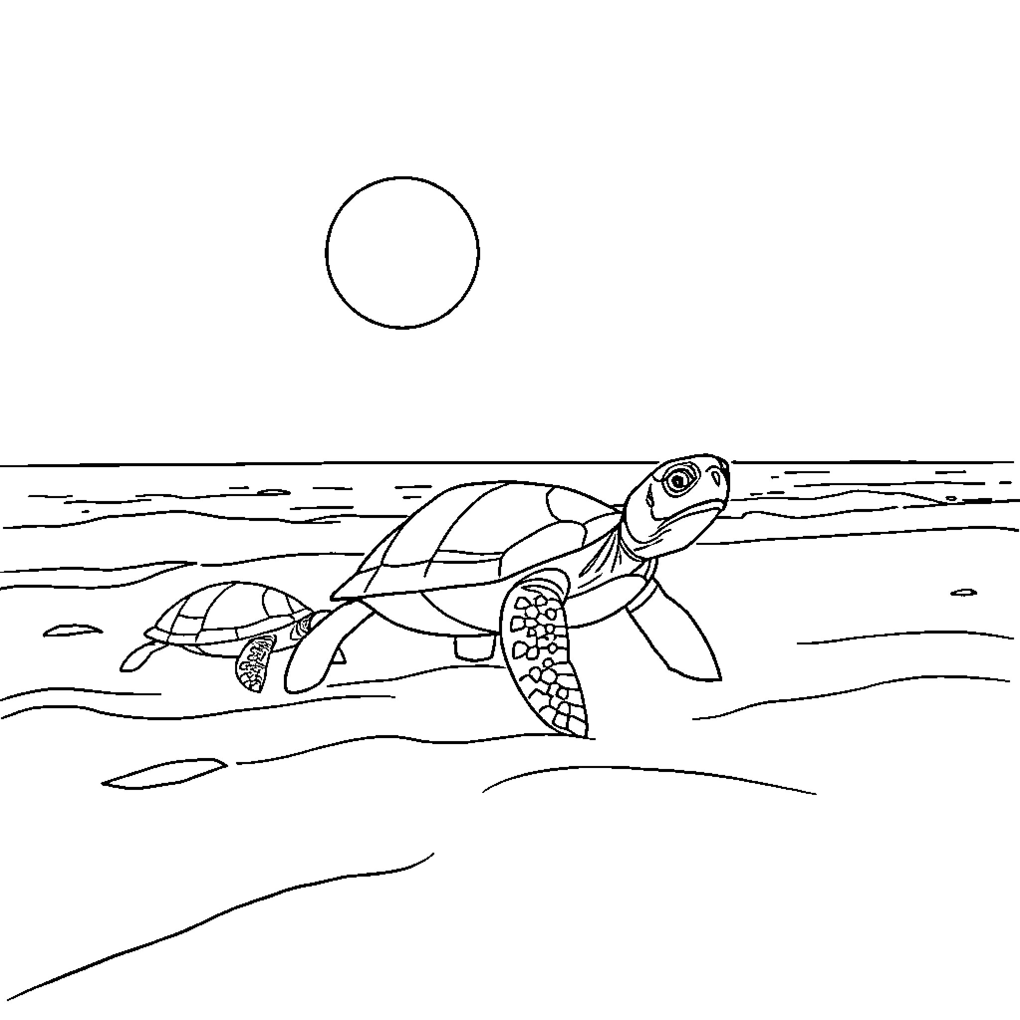 Turtle swimming with smaller turtle Coloring Page (free black-and-white line drawing printable PDF for all, from beginners to advanced learners, including children, teens, adults, and seniors)