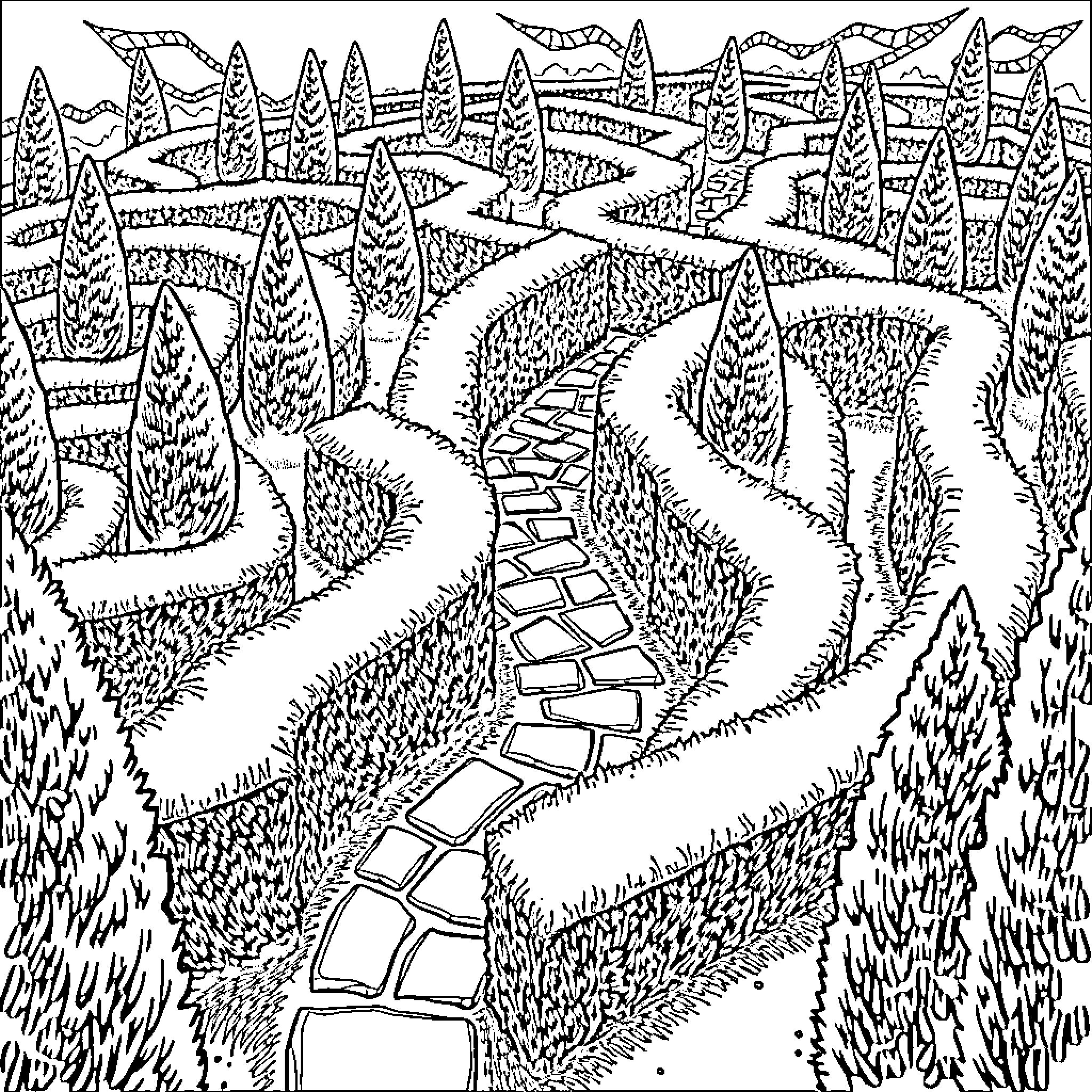 Maze of Winding Paths in the Forested Landscape Coloring Page (free black-and-white line drawing printable PDF for all, from beginners to advanced learners, including children, teens, adults, and seniors)