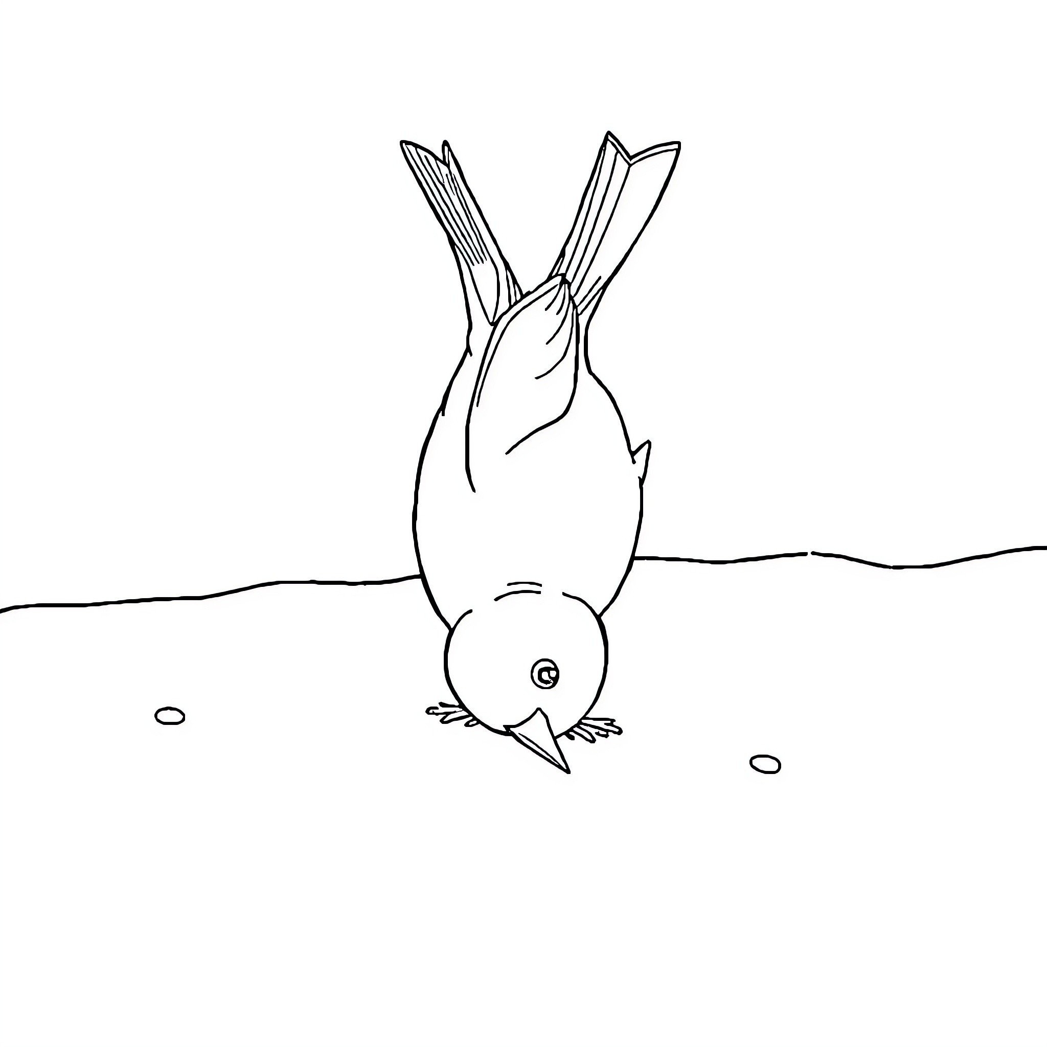 Bird diving headfirst into water Coloring Page (free black-and-white line drawing printable PDF for all, from beginners to advanced learners, including children, teens, adults, and seniors)