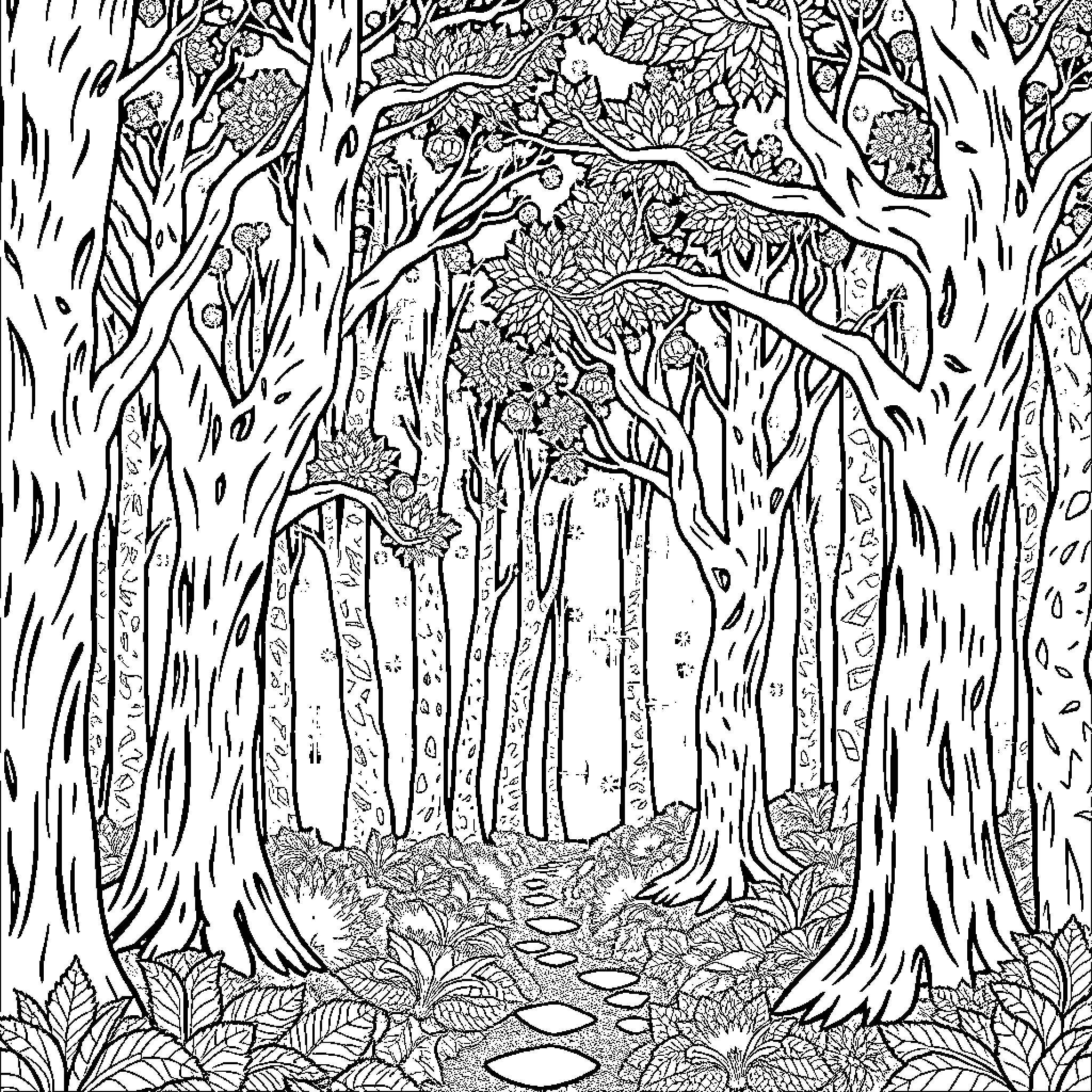 Forest of intricate foliage and flora Coloring Page (free black-and-white line drawing printable PDF for all, from beginners to advanced learners, including children, teens, adults, and seniors)