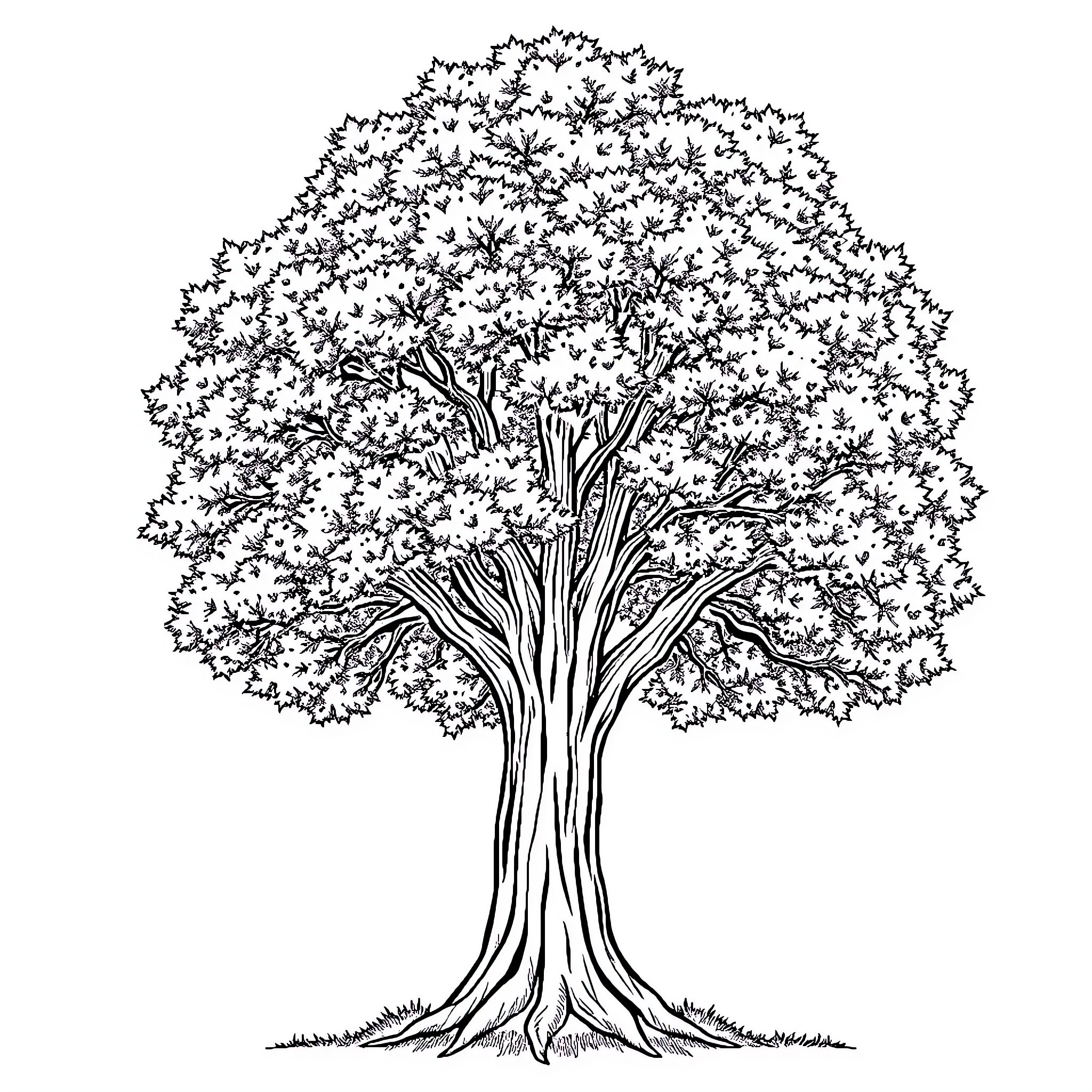 Tree with intricate branching pattern Coloring Page (free black-and-white line drawing printable PDF for all, from beginners to advanced learners, including children, teens, adults, and seniors)
