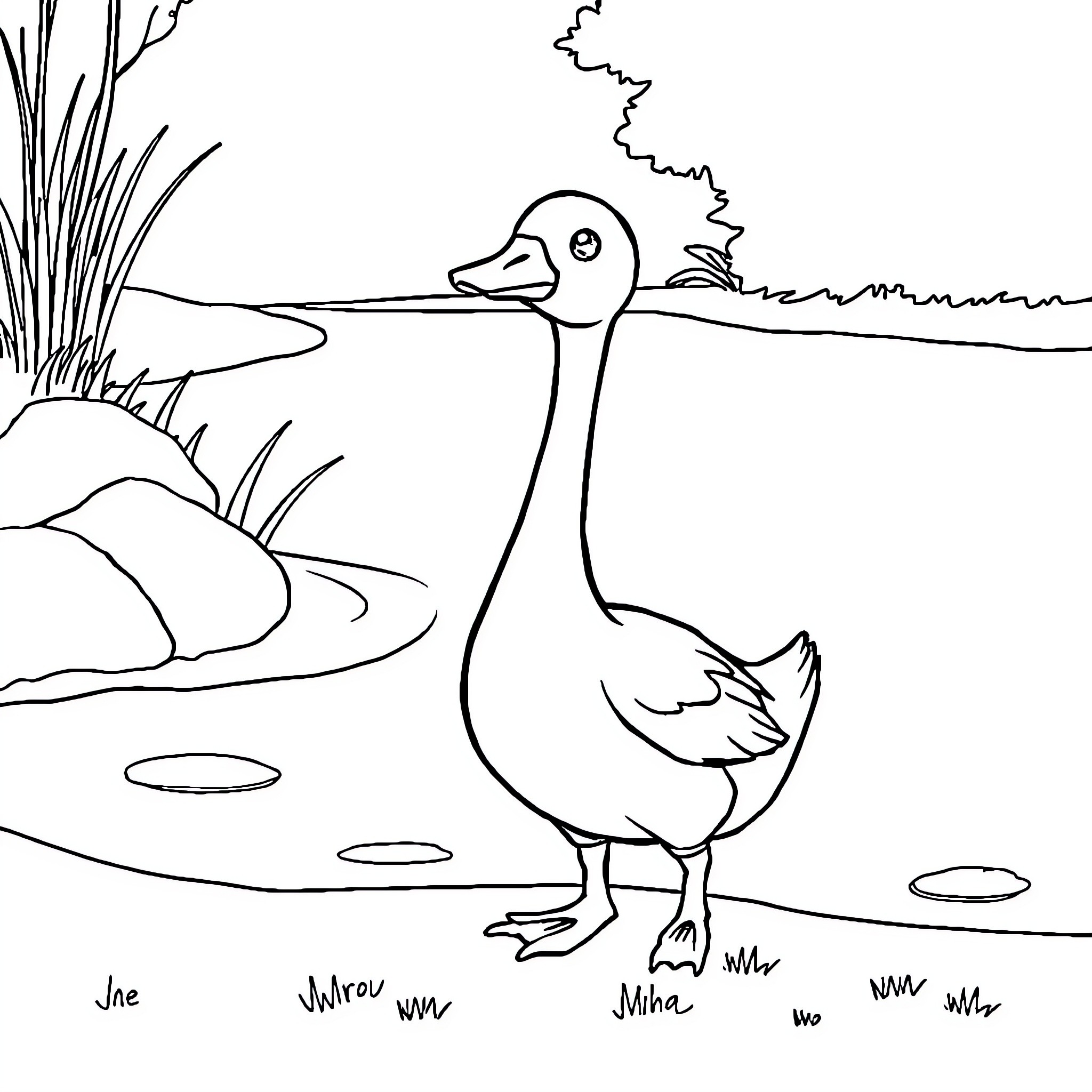 Goose waddling in a pond Coloring Page (free black-and-white line drawing printable PDF for all, from beginners to advanced learners, including children, teens, adults, and seniors)
