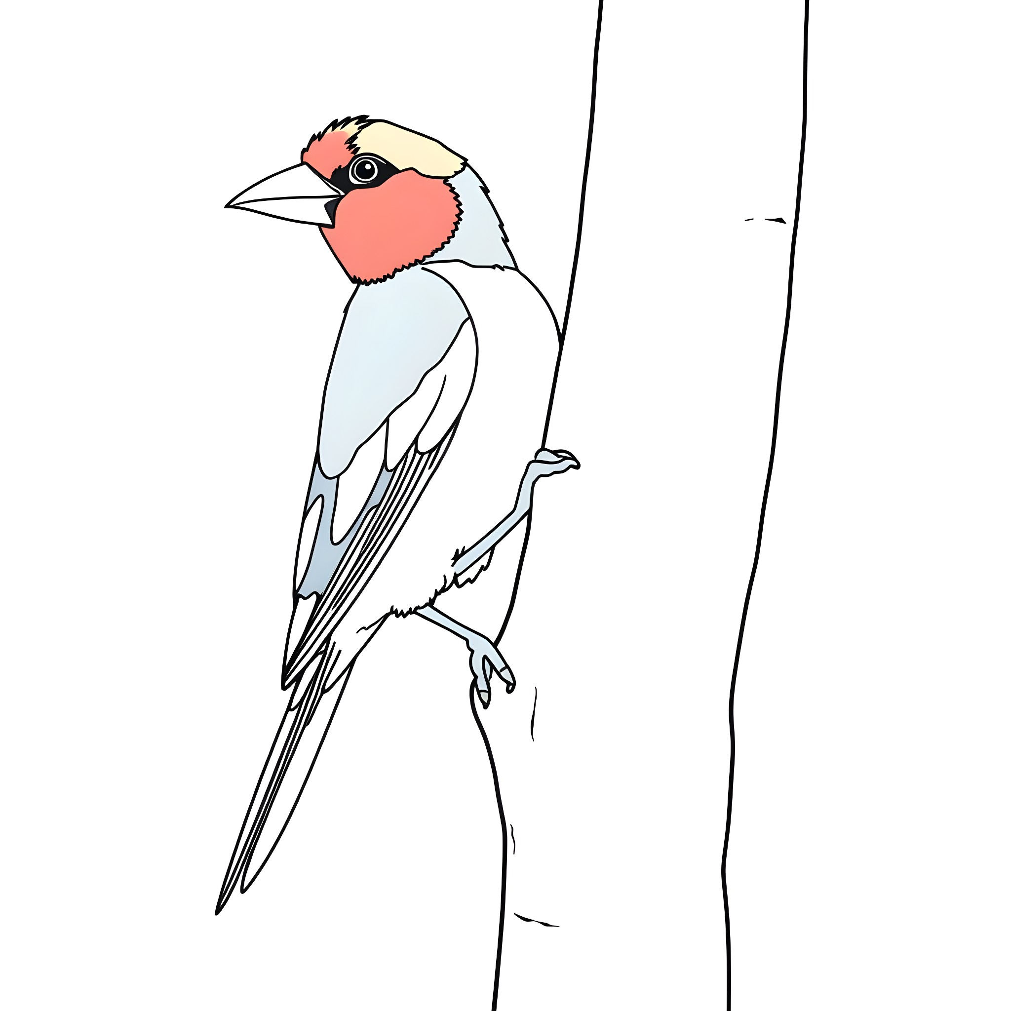 Gouldian Finch perched on a branch Coloring Page (free black-and-white line drawing printable PDF for all, from beginners to advanced learners, including children, teens, adults, and seniors)