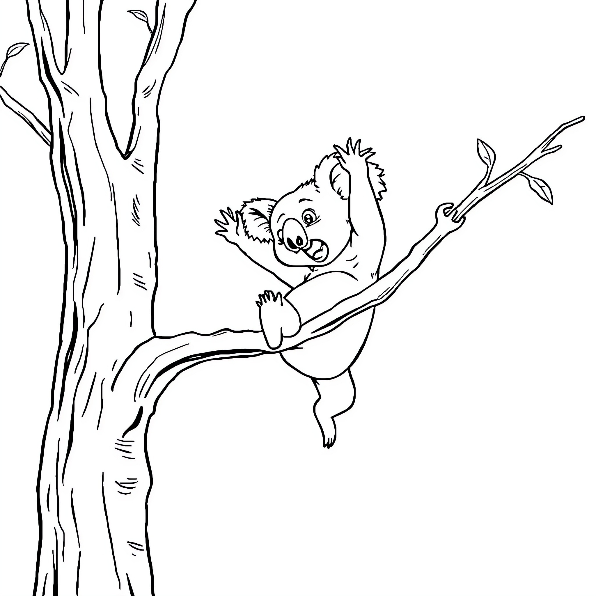 Koala climbing on a tree branch Coloring Page (free black-and-white line drawing printable PDF for all, from beginners to advanced learners, including children, teens, adults, and seniors)