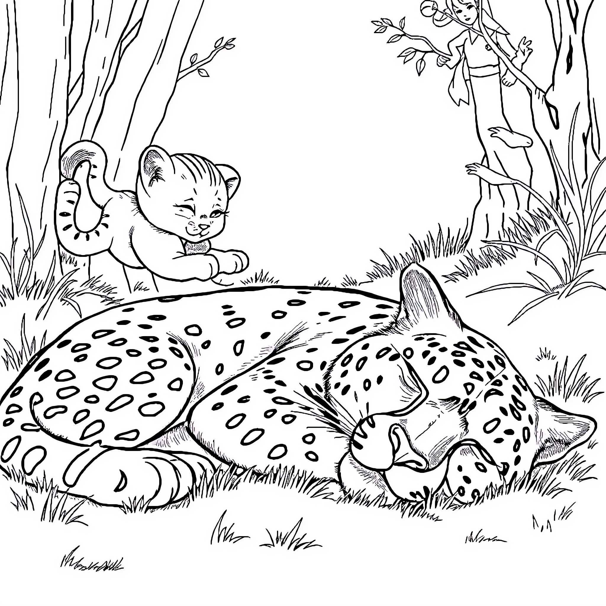 Cougar exploring enchanted forest with fairy Coloring Page (free black-and-white line drawing printable PDF for all, from beginners to advanced learners, including children, teens, adults, and seniors)