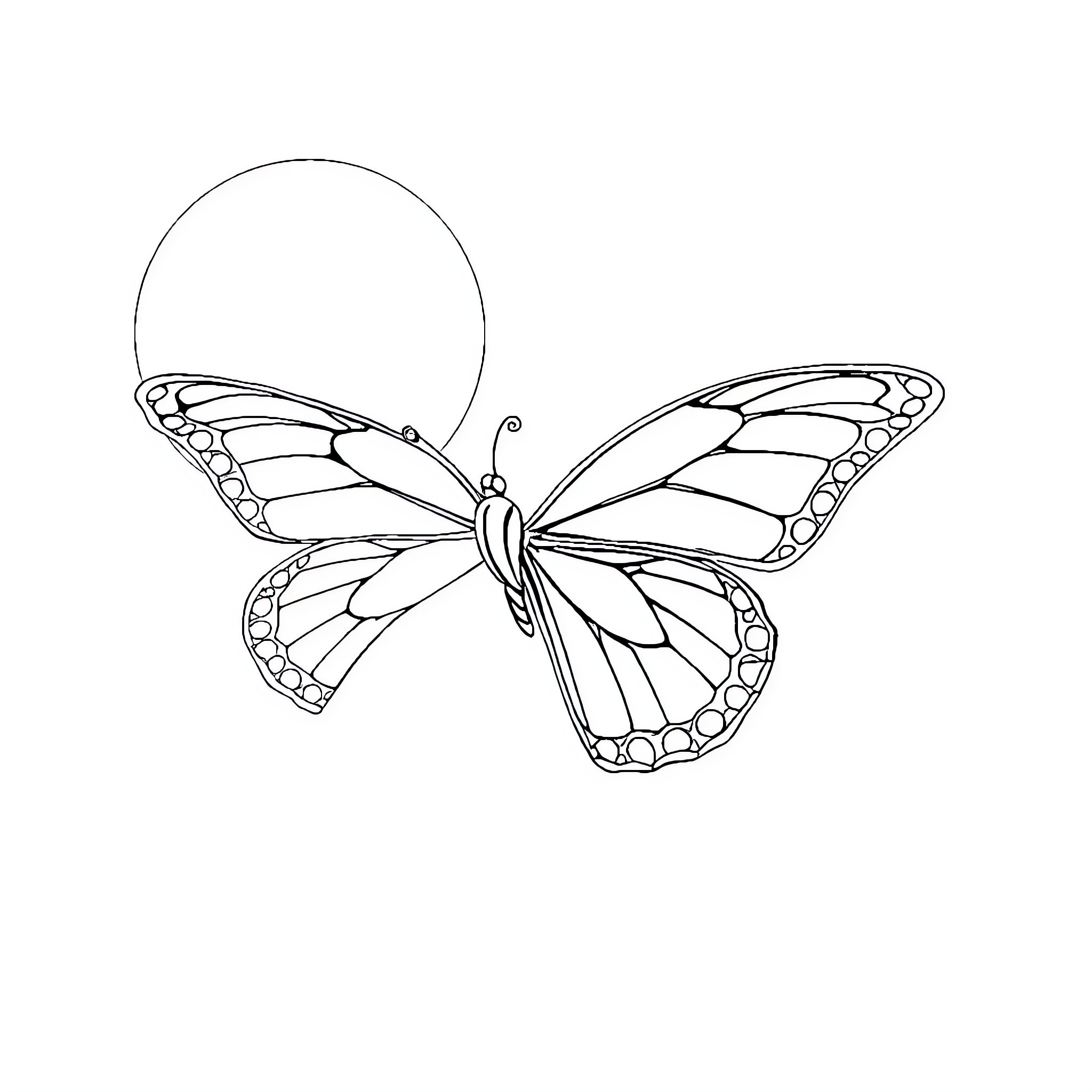 Butterfly with elaborate wings Coloring Page (free black-and-white line drawing printable PDF for all, from beginners to advanced learners, including children, teens, adults, and seniors)