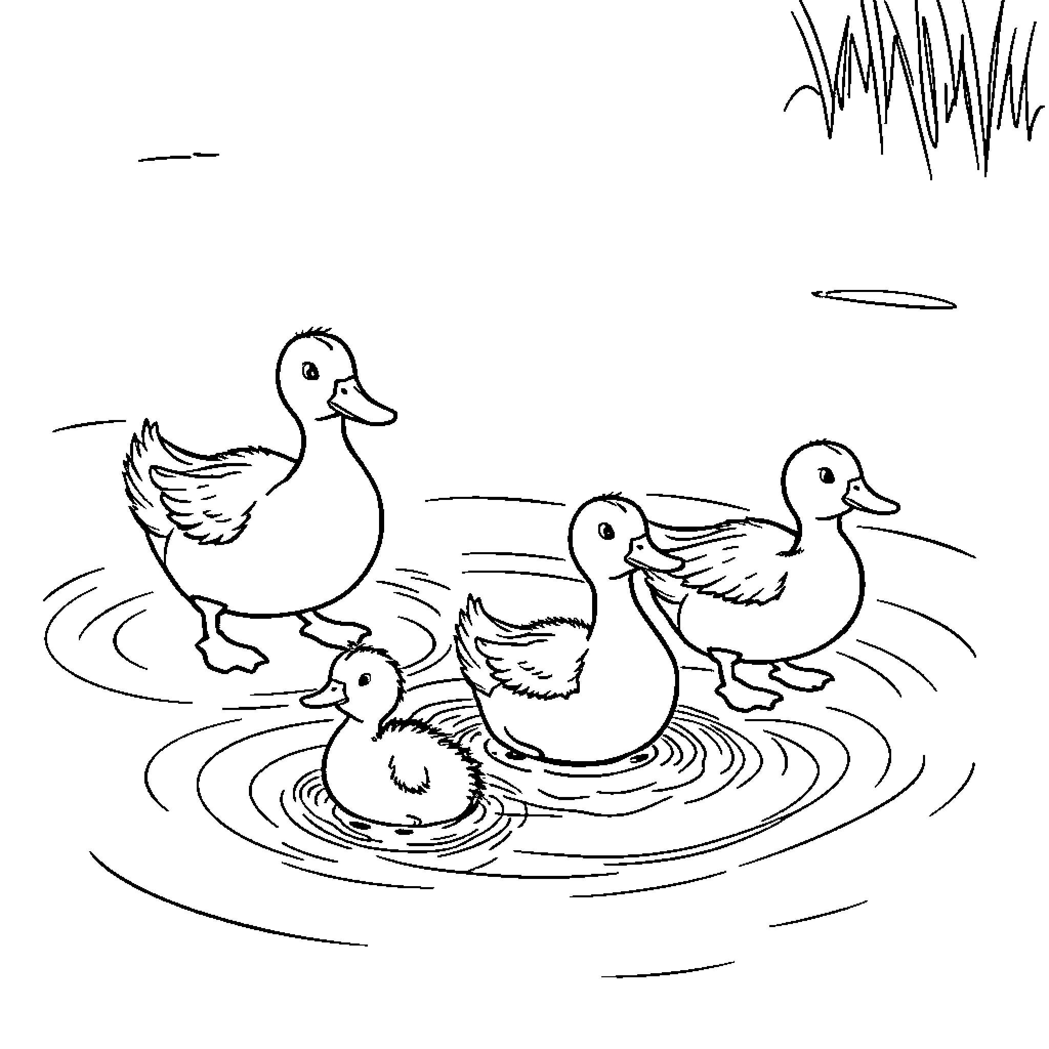 Ducks swimming peacefully in the pond Coloring Page (free black-and-white line drawing printable PDF for all, from beginners to advanced learners, including children, teens, adults, and seniors)