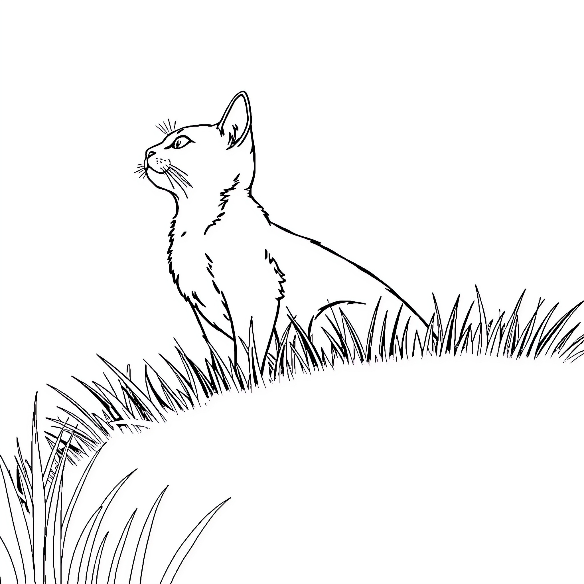 Cat in the Grass Coloring Page (free black-and-white line drawing printable PDF for all, from beginners to advanced learners, including children, teens, adults, and seniors)