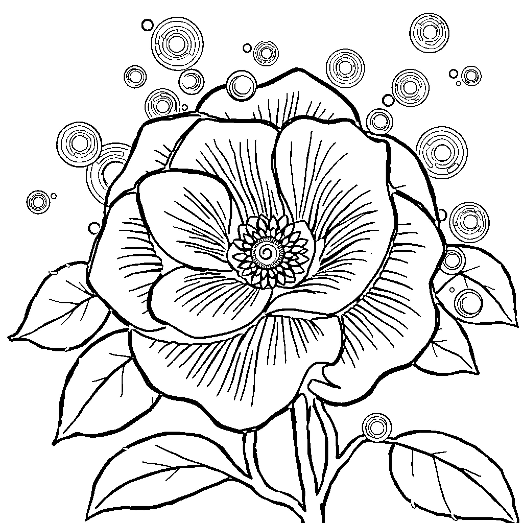Rose Petals and Whimsical Circles Coloring Page (free black-and-white line drawing printable PDF for all, from beginners to advanced learners, including children, teens, adults, and seniors)