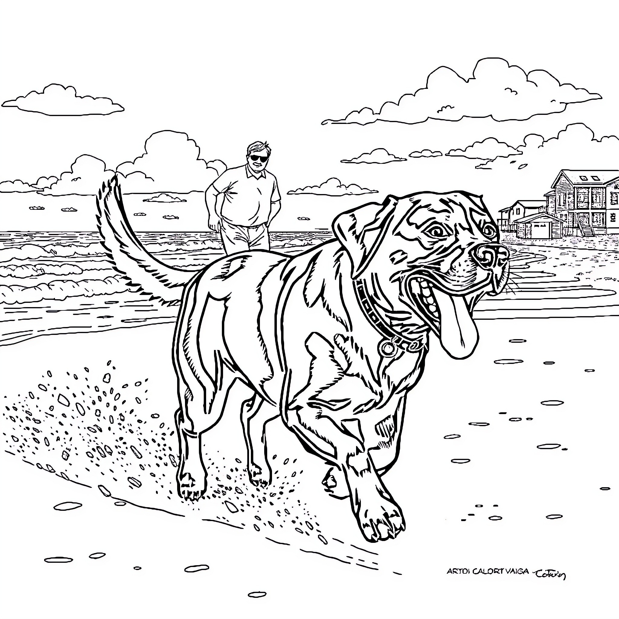 Black Lab romping playfully on the beach Coloring Page (free black-and-white line drawing printable PDF for all, from beginners to advanced learners, including children, teens, adults, and seniors)