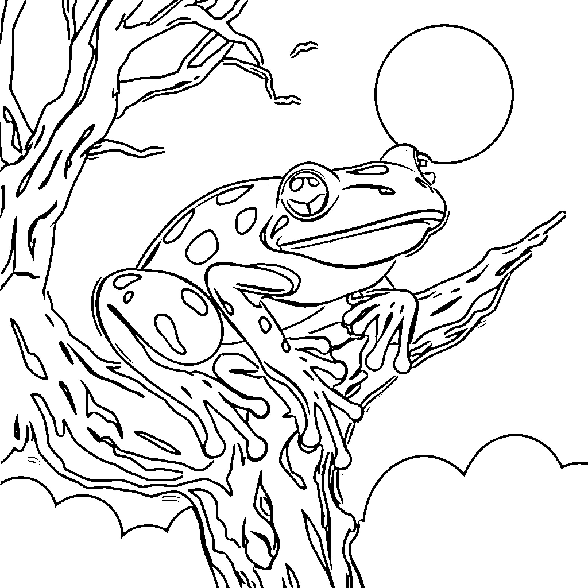 Tree Frog Sitting on a Moonlit Branch Coloring Page (free black-and-white line drawing printable PDF for all, from beginners to advanced learners, including children, teens, adults, and seniors)