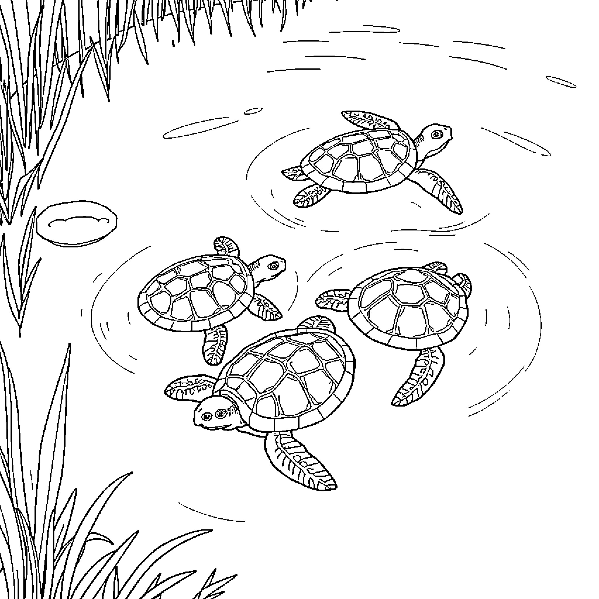 Turtles swimming in the pond Coloring Page (free black-and-white line drawing printable PDF for all, from beginners to advanced learners, including children, teens, adults, and seniors)