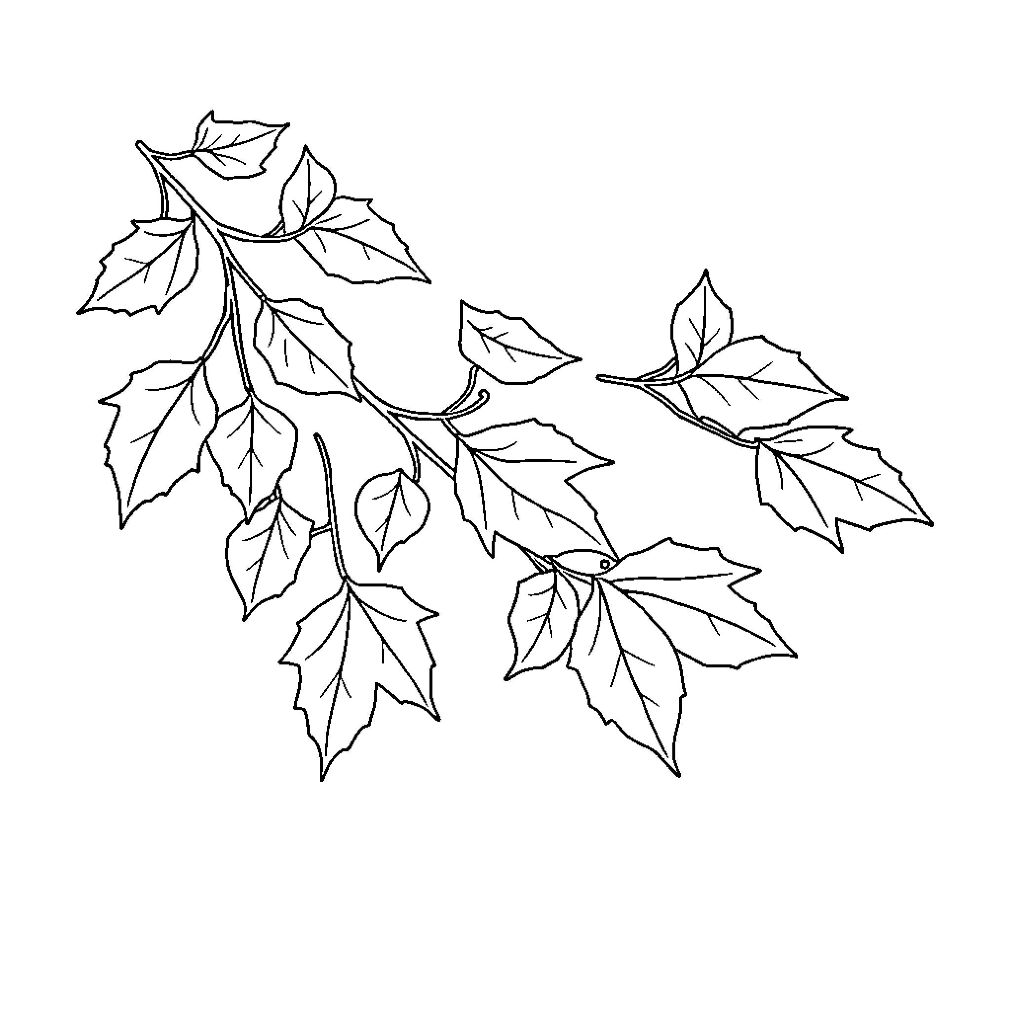 Autumn Leaves Blowing in the Wind Coloring Page (free black-and-white line drawing printable PDF for all, from beginners to advanced learners, including children, teens, adults, and seniors)