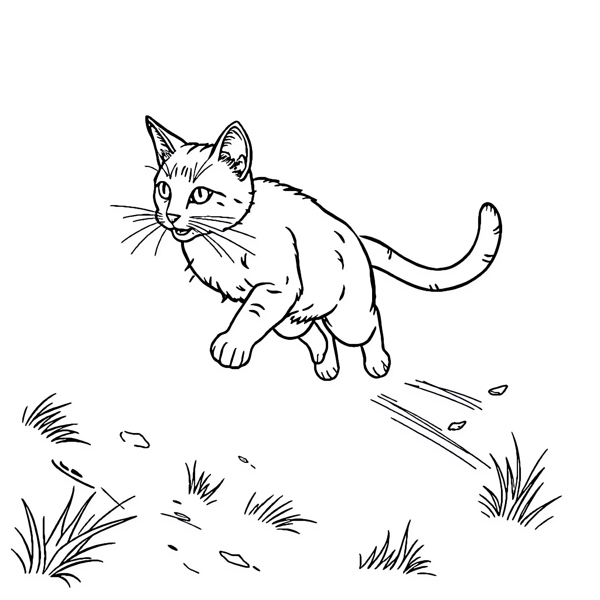 Cat exploring outdoors in the grass Coloring Page (free black-and-white line drawing printable PDF for all, from beginners to advanced learners, including children, teens, adults, and seniors)