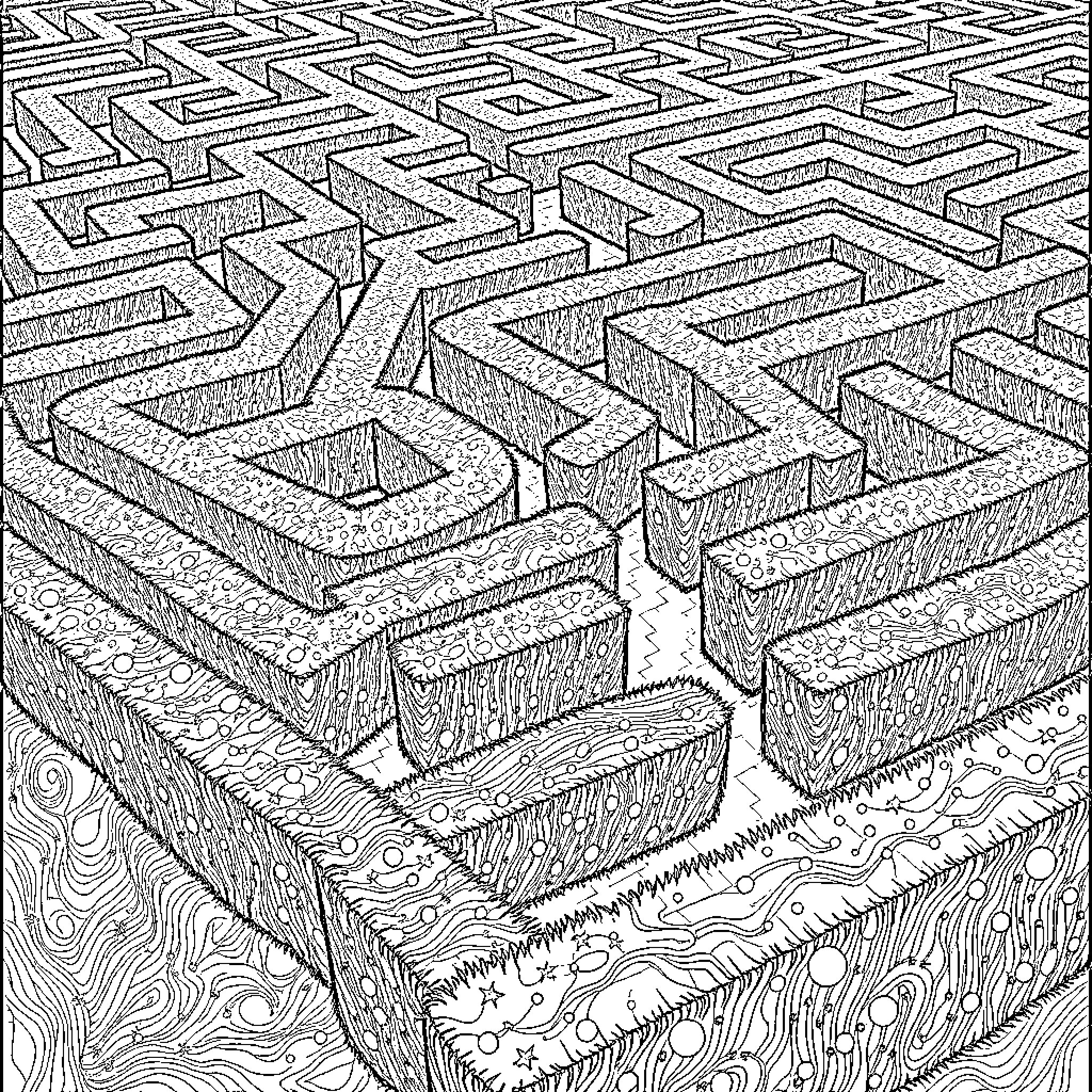 Labyrinth of Intricate Patterns and Pathways Coloring Page (free black-and-white line drawing printable PDF for all, from beginners to advanced learners, including children, teens, adults, and seniors)