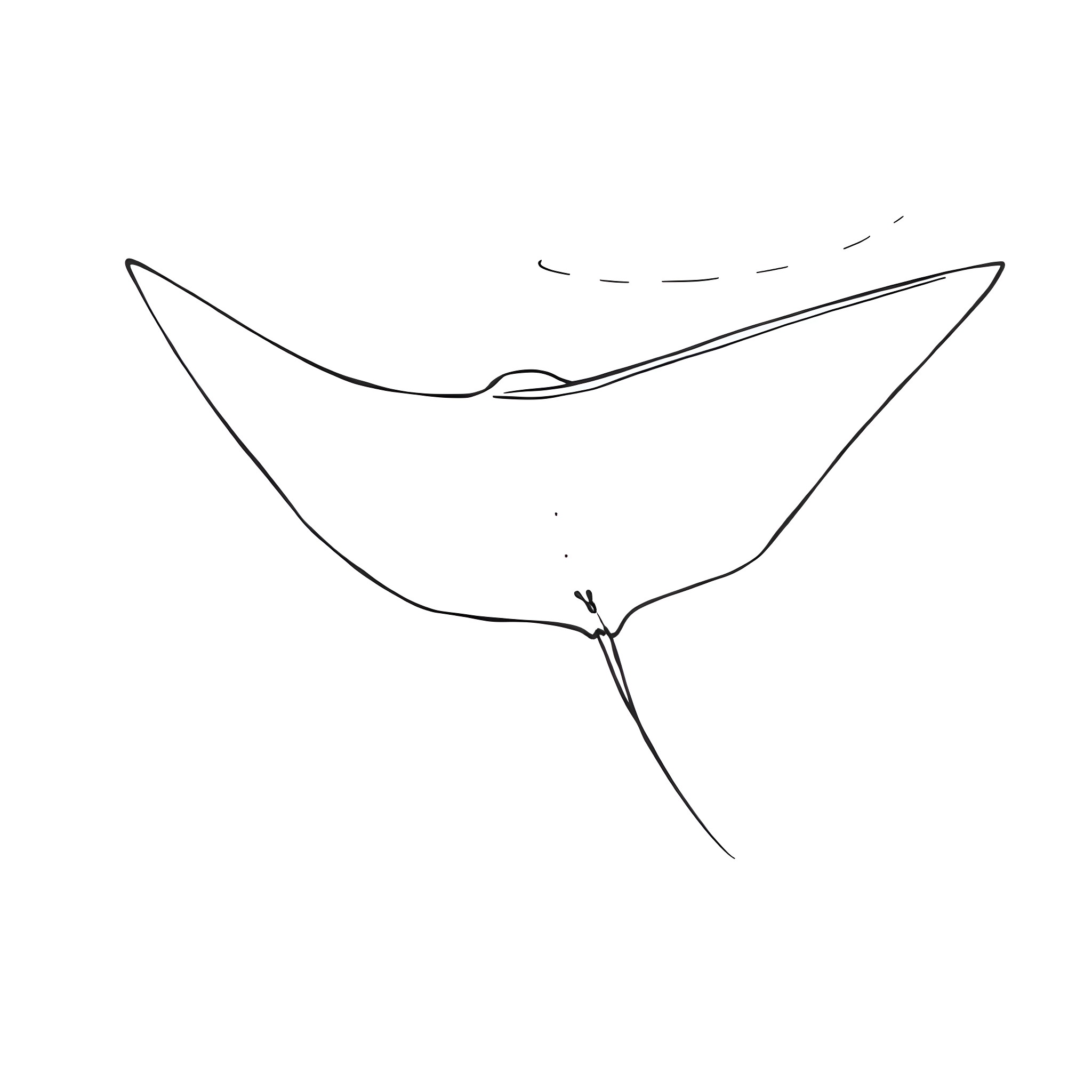 Manta Ray gliding gracefully in the ocean Coloring Page (free black-and-white line drawing printable PDF for all, from beginners to advanced learners, including children, teens, adults, and seniors)