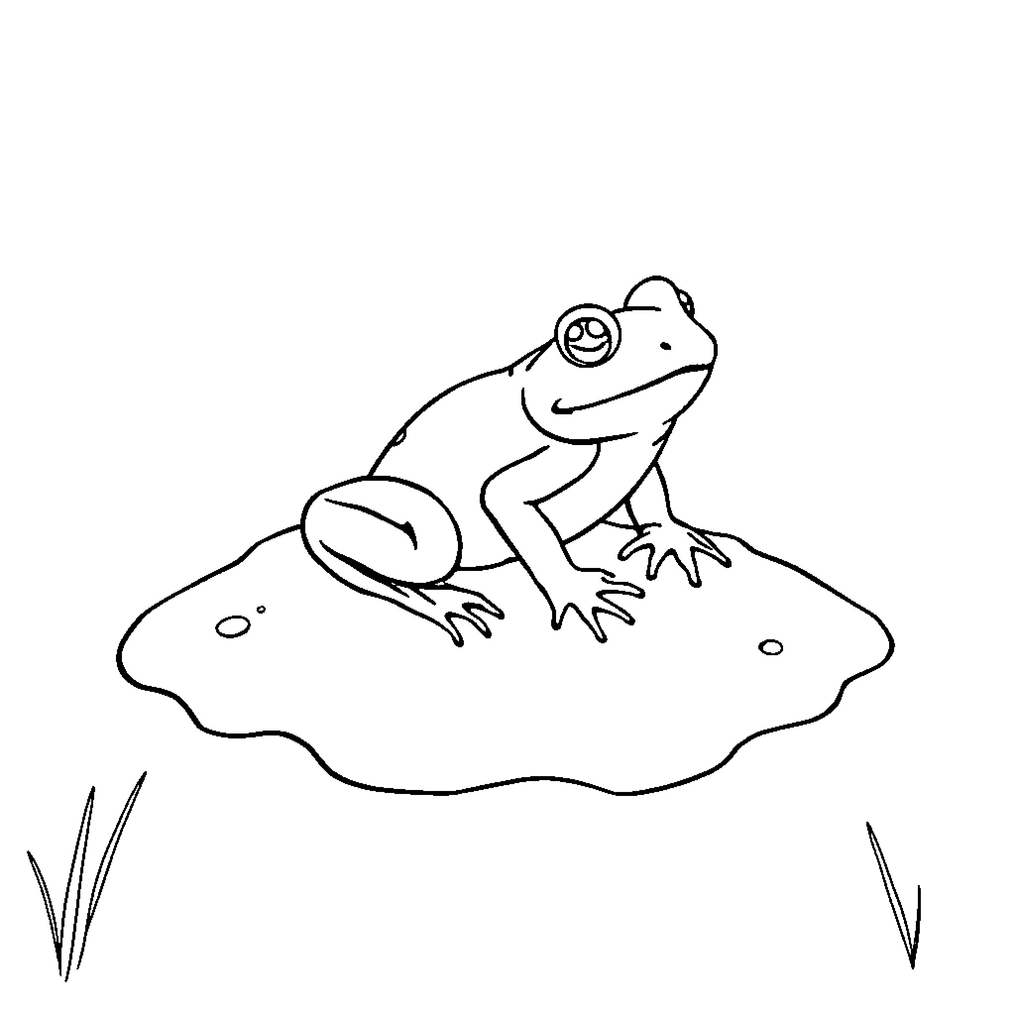 Frog sitting happily on a rock Coloring Page (free black-and-white line drawing printable PDF for all, from beginners to advanced learners, including children, teens, adults, and seniors)