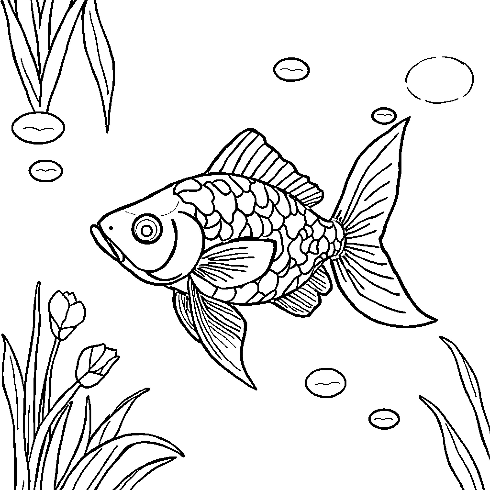 Fish swimming playfully in an aquatic environment Coloring Page (free black-and-white line drawing printable PDF for all, from beginners to advanced learners, including children, teens, adults, and seniors)