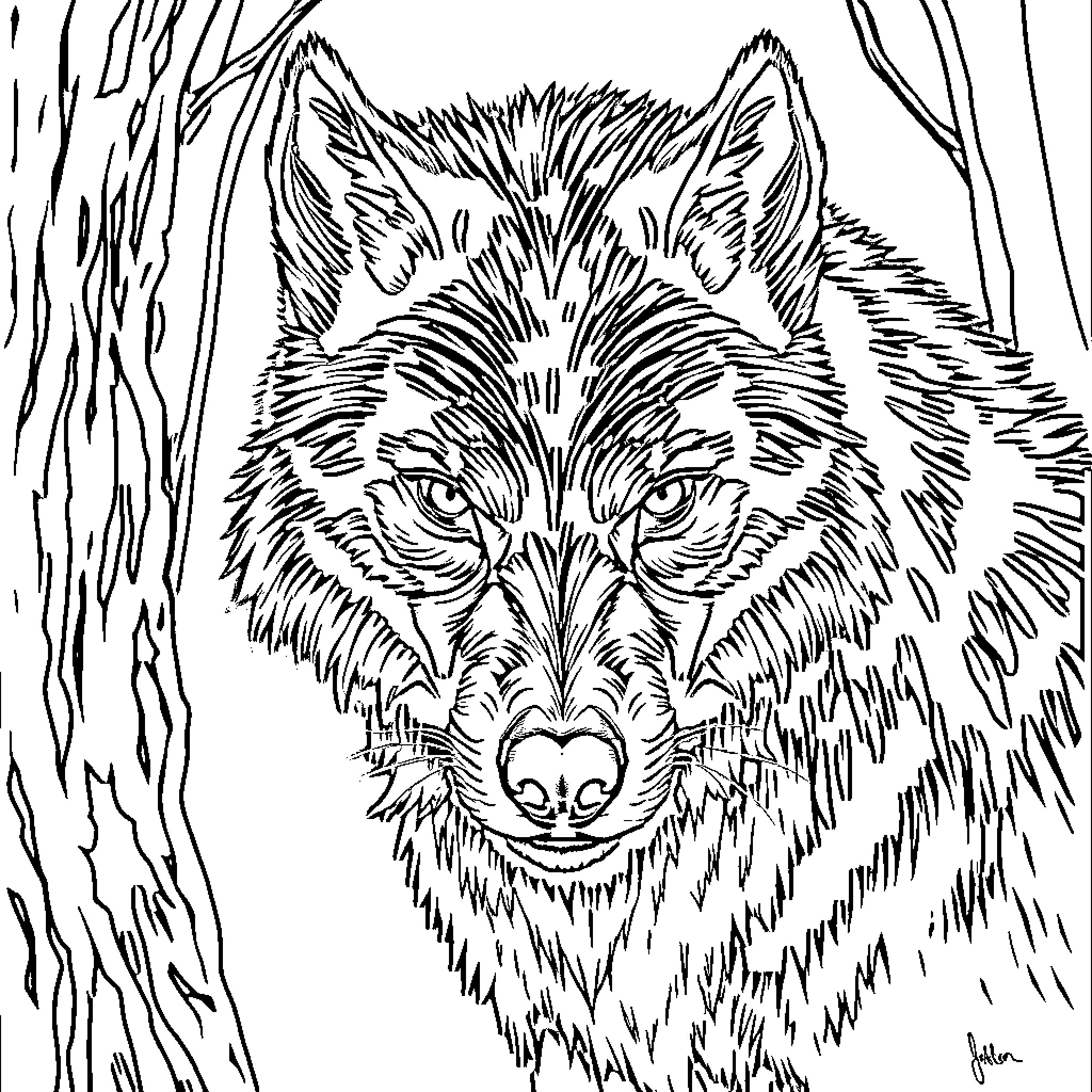 Werewolf stalking through the forest Coloring Page (free black-and-white line drawing printable PDF for all, from beginners to advanced learners, including children, teens, adults, and seniors)