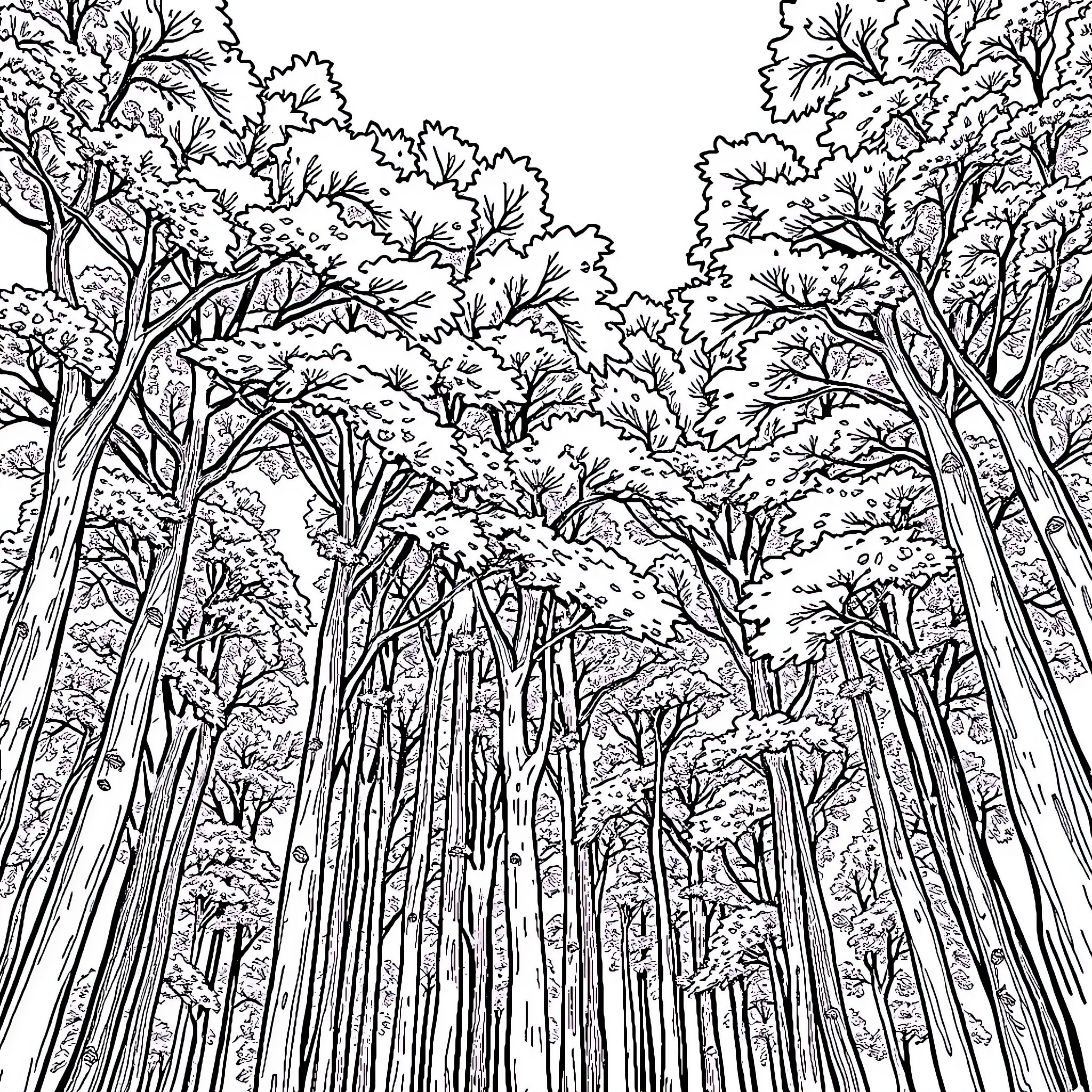 Tree-filled forest with intricate foliage Coloring Page (free black-and-white line drawing printable PDF for all, from beginners to advanced learners, including children, teens, adults, and seniors)
