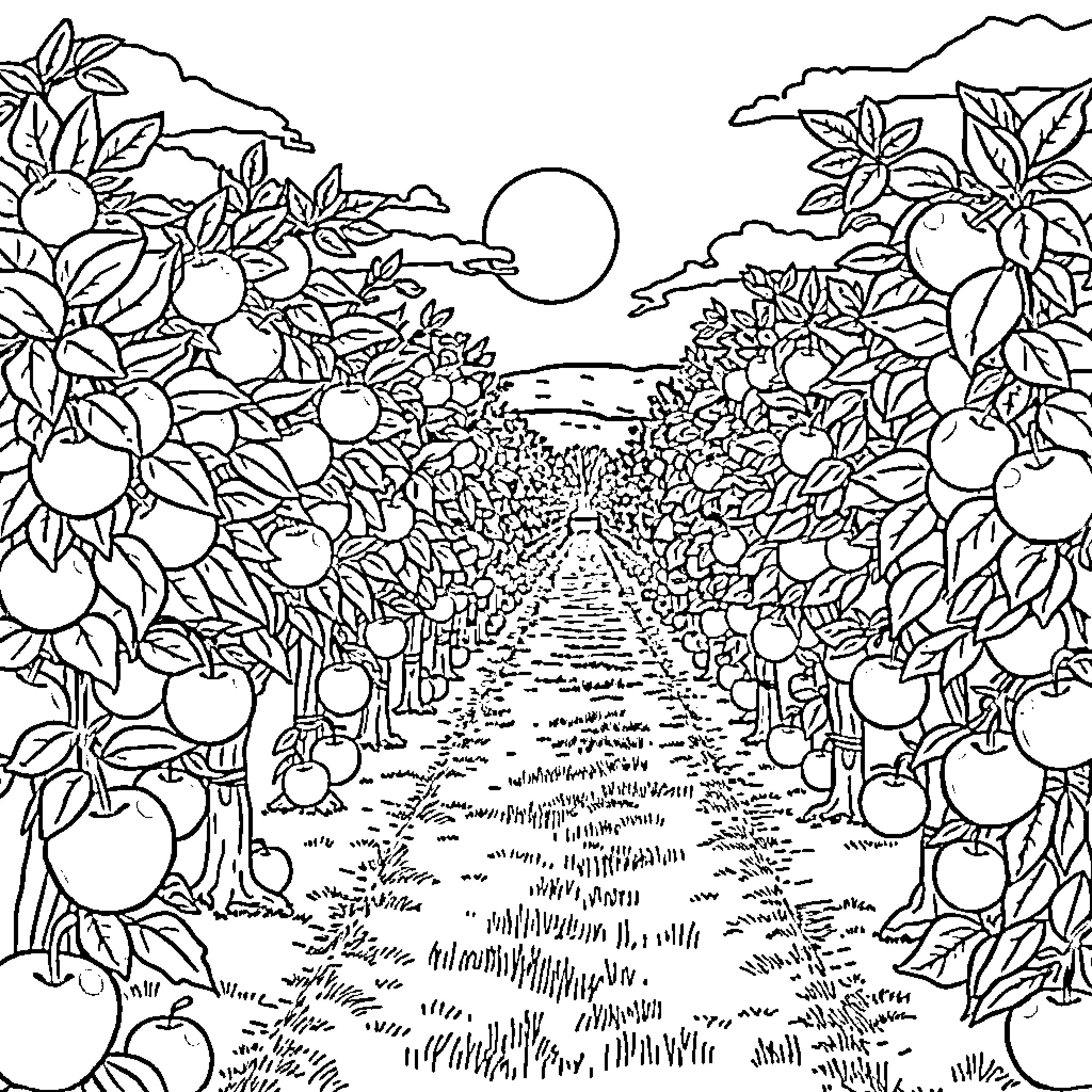 Apple Orchard Pathway in Scenic Landscape Coloring Page (free black-and-white line drawing printable PDF for all, from beginners to advanced learners, including children, teens, adults, and seniors)