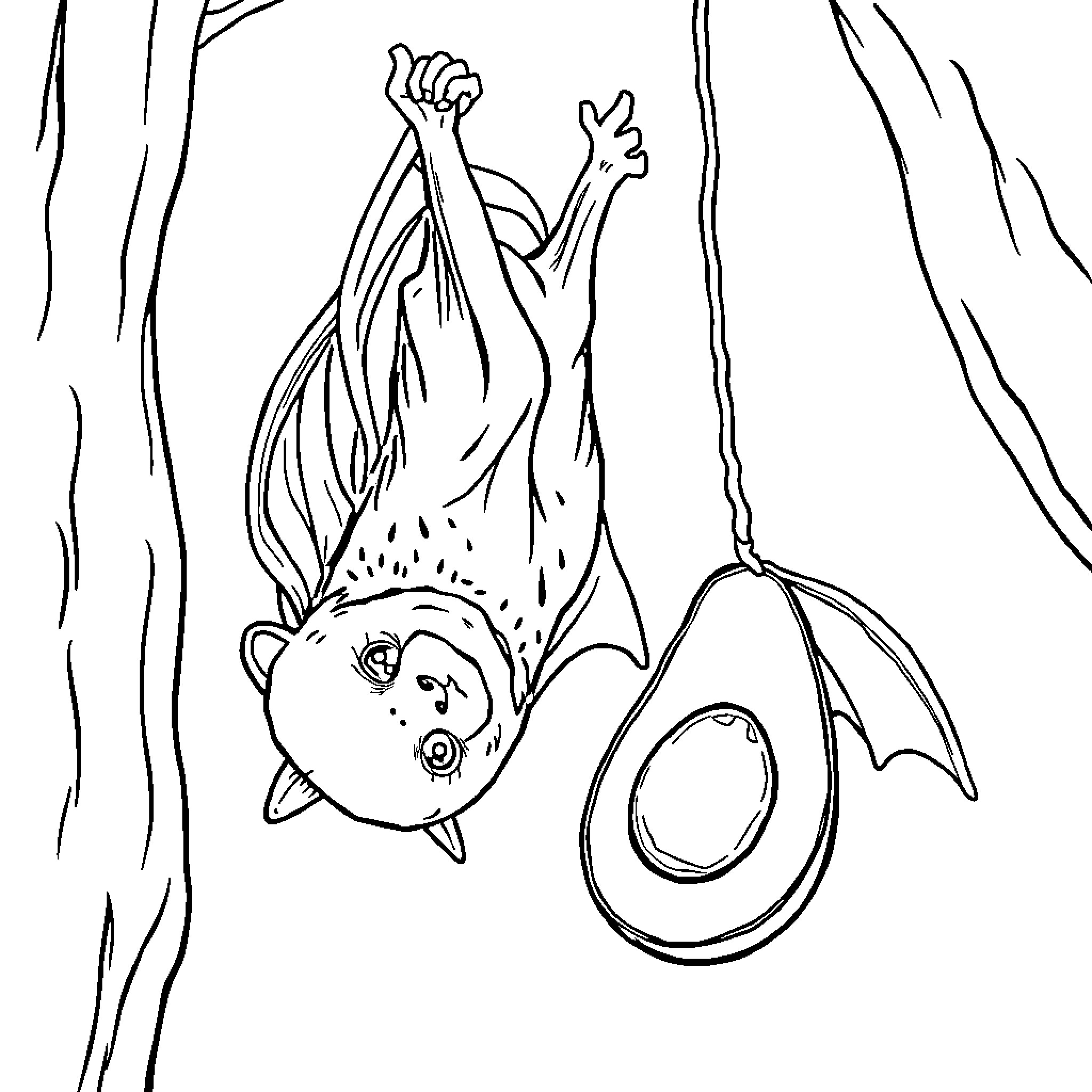 Bat hanging upside down from a tree Coloring Page (free black-and-white line drawing printable PDF for all, from beginners to advanced learners, including children, teens, adults, and seniors)
