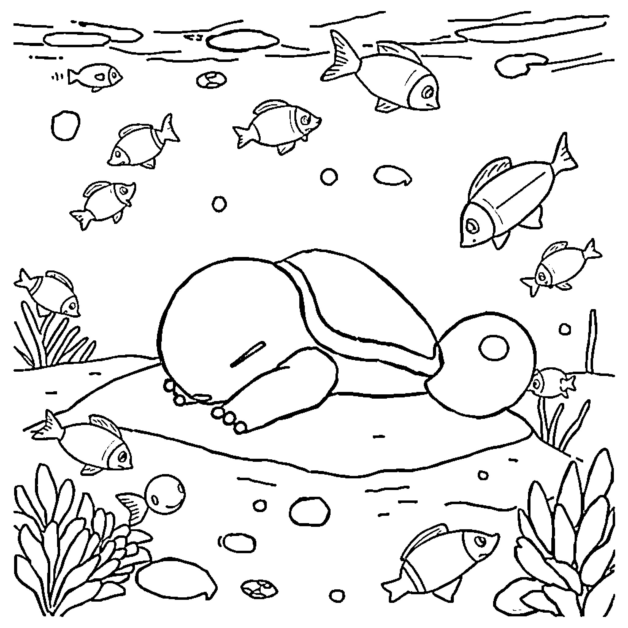 Squirtle sleeping peacefully underwater with sea creatures Coloring Page (free black-and-white line drawing printable PDF for all, from beginners to advanced learners, including children, teens, adults, and seniors)