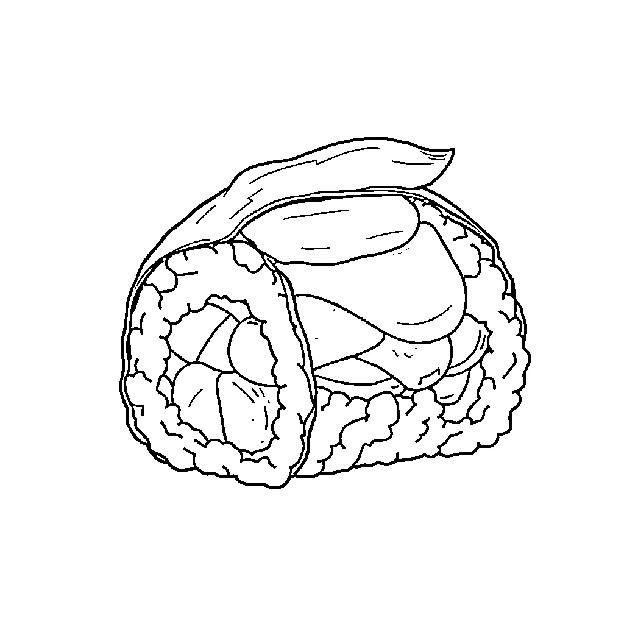 Sushi roll with assorted ingredients Coloring Page (free black-and-white line drawing printable PDF for all, from beginners to advanced learners, including children, teens, adults, and seniors)
