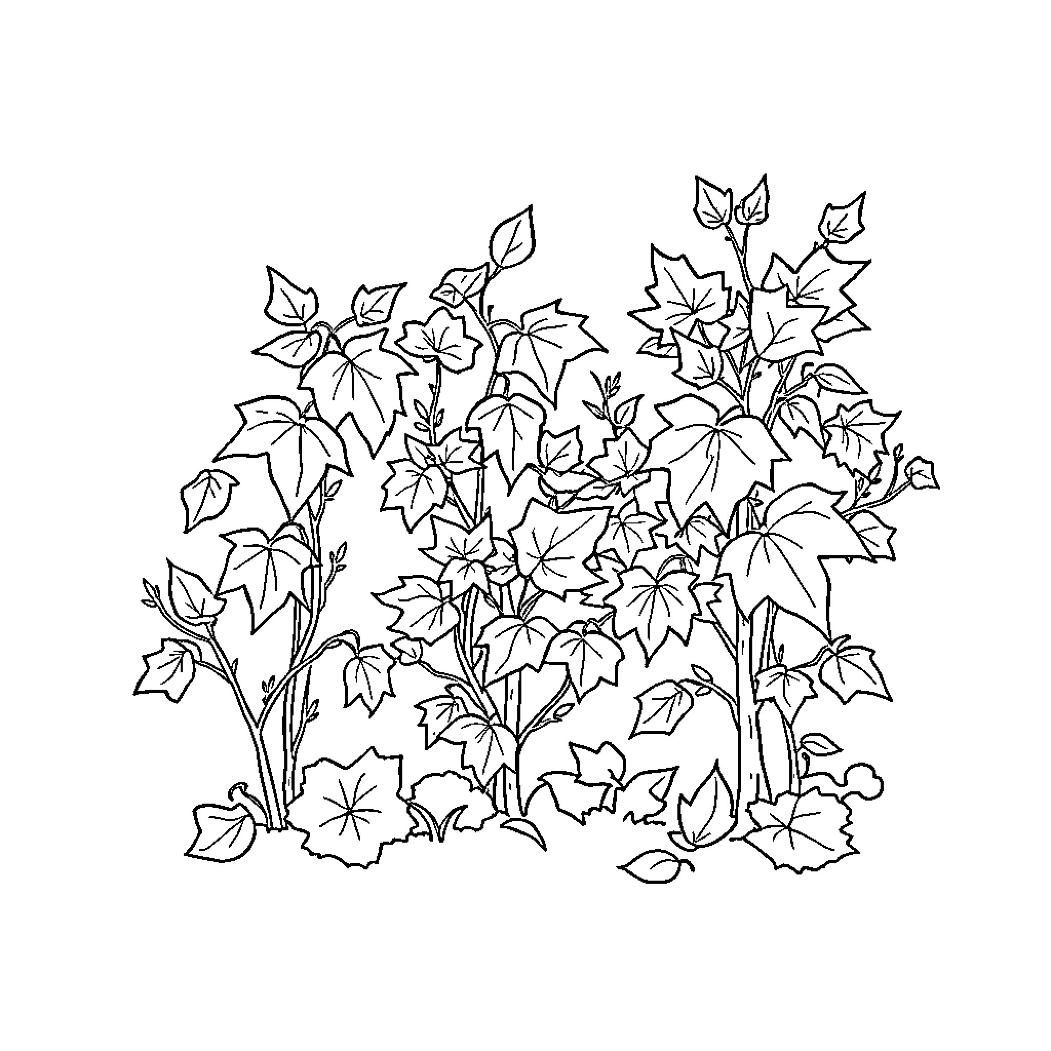 Fall Foliage Flourish Coloring Page (free black-and-white line drawing printable PDF for all, from beginners to advanced learners, including children, teens, adults, and seniors)