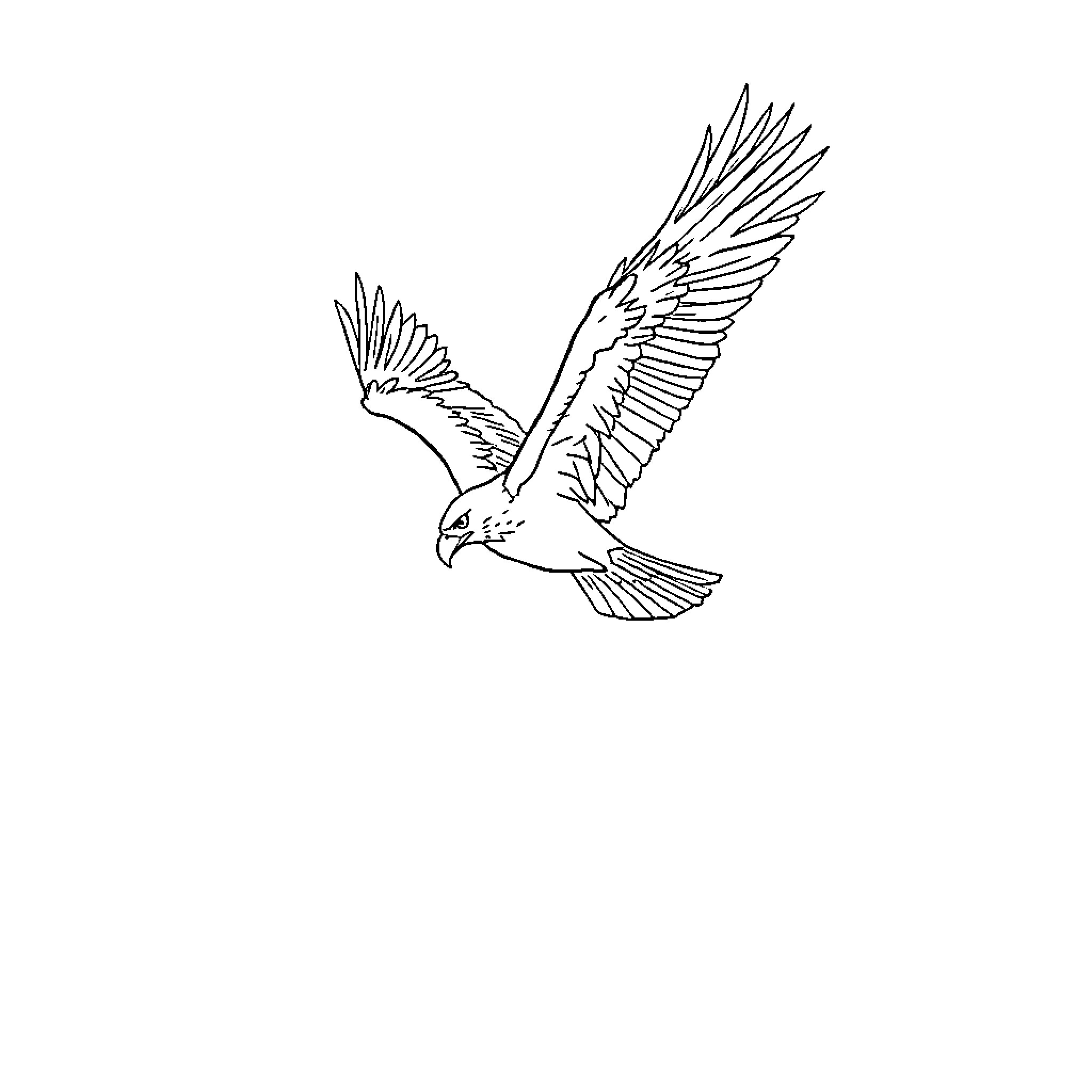 Eagle soaring majestically in the sky Coloring Page (free black-and-white line drawing printable PDF for all, from beginners to advanced learners, including children, teens, adults, and seniors)